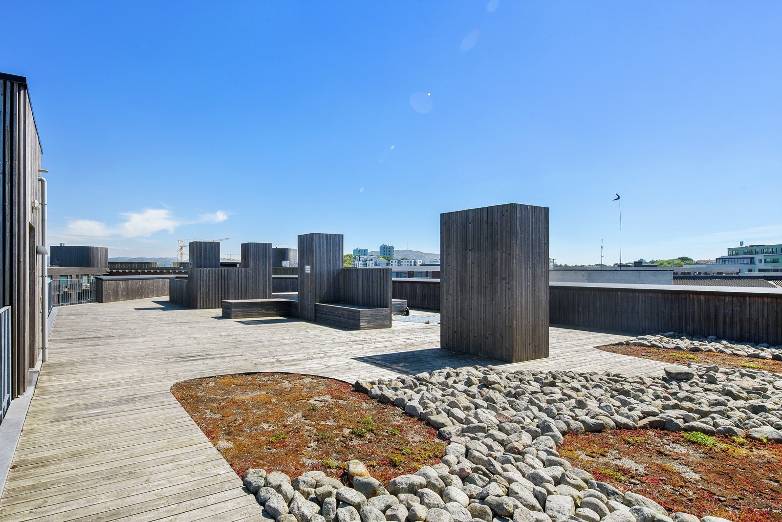 Stor, felles takterrasse til disposisjon Galleribilde