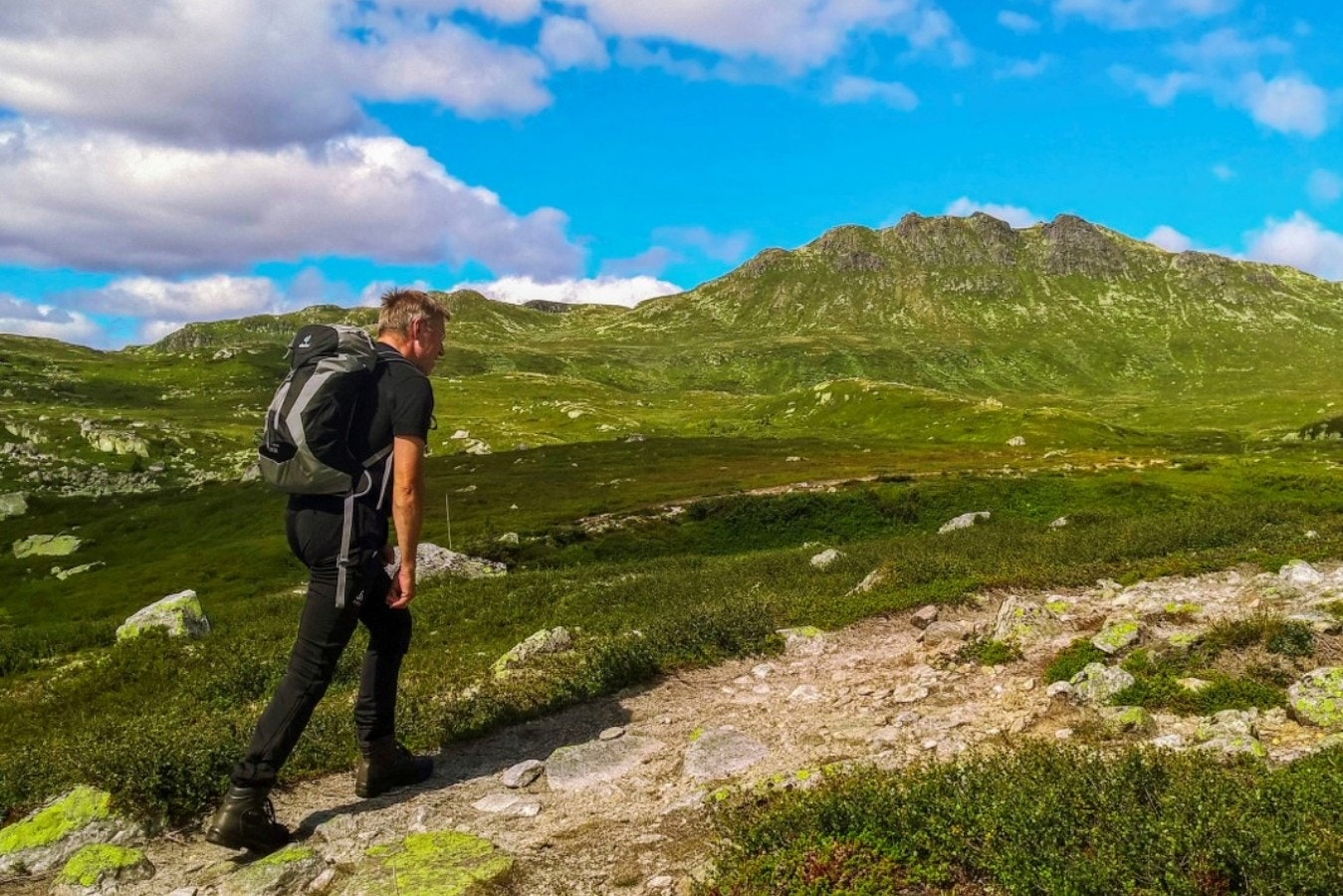 Flott natur innbyr til turer i fjellet på sommeren Galleribilde
