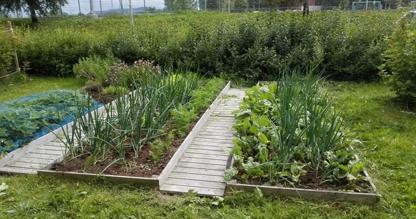 Bilder tatt av hagen ( selger) Galleribilde