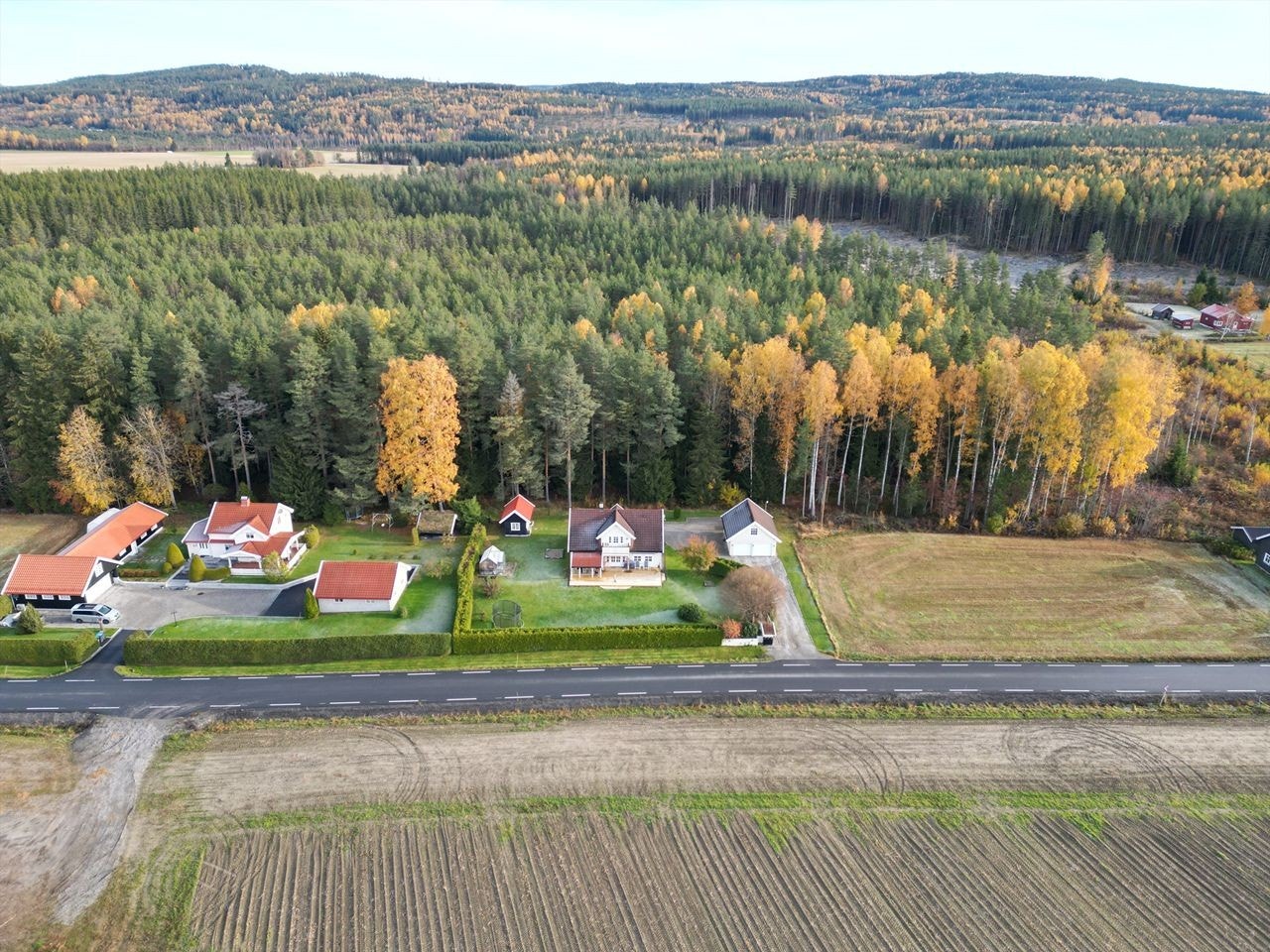 Oversiktsbilde fra selger Galleribilde