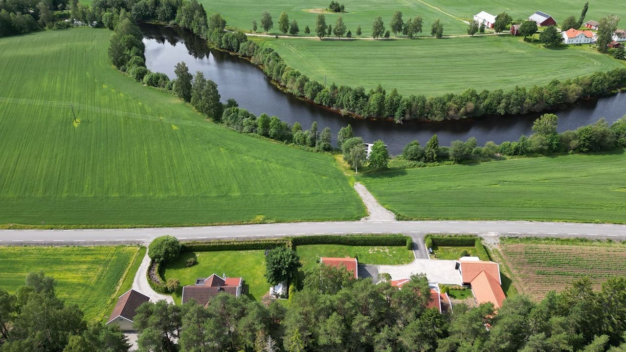 Oversiktsbilde fra selger Galleribilde