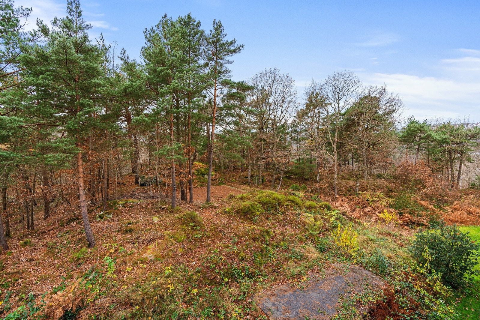 - Balkongen vender mot skogen og har fin utsiktk - Galleribilde