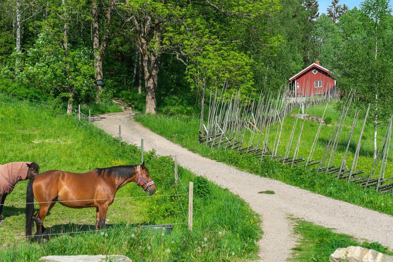 Unike rekreasjonsmuligheter i Østmarka med tur- og sykkelløyper. Galleribilde
