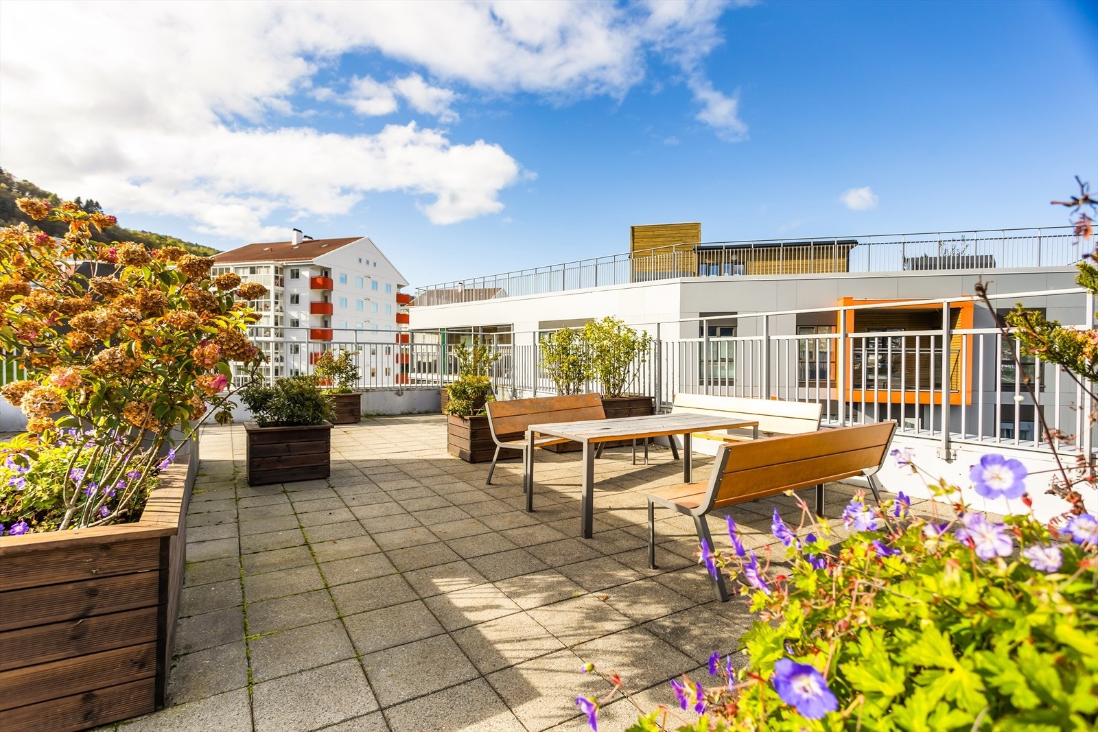 Felles takterrasse Galleribilde