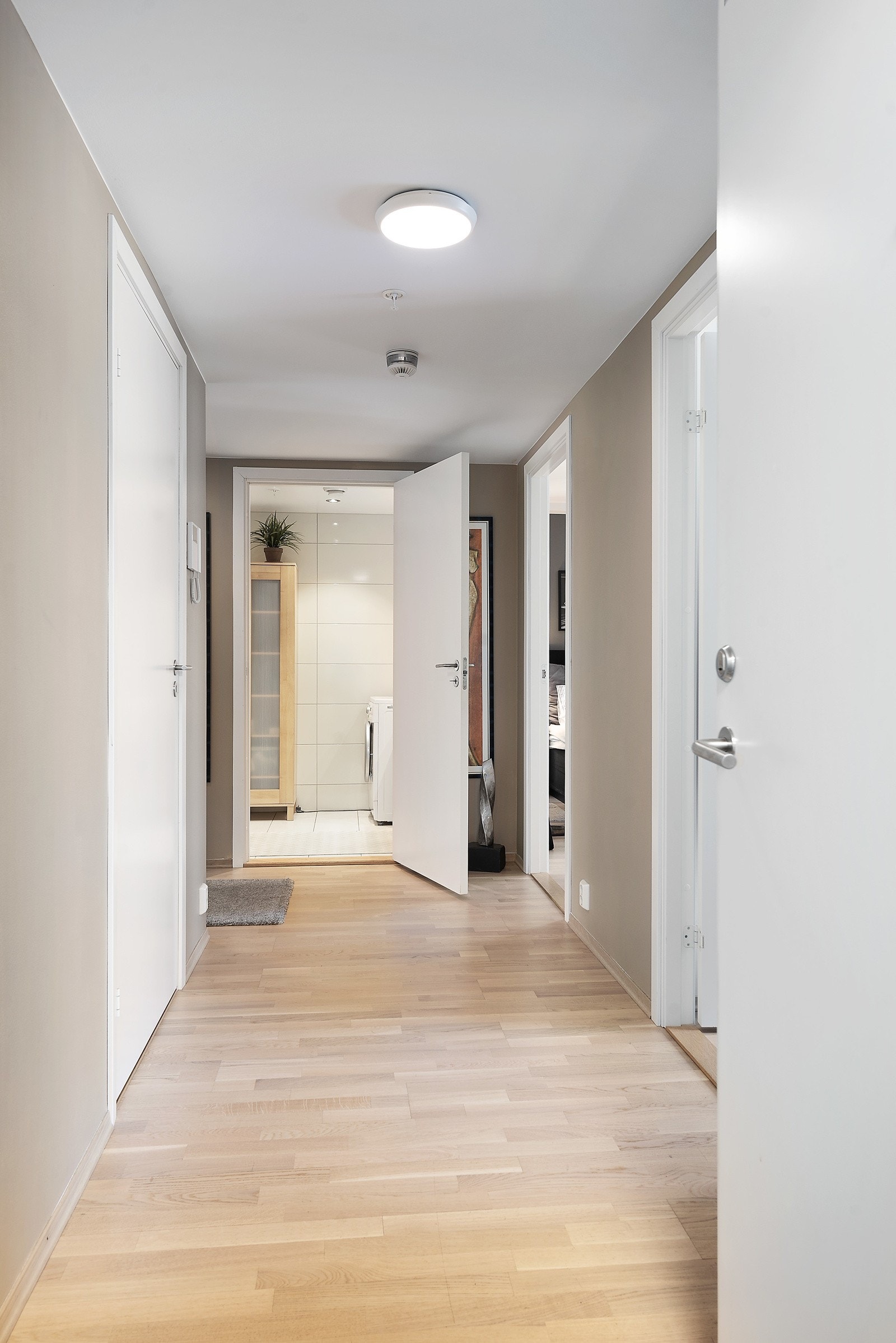 Hall Galleribilde