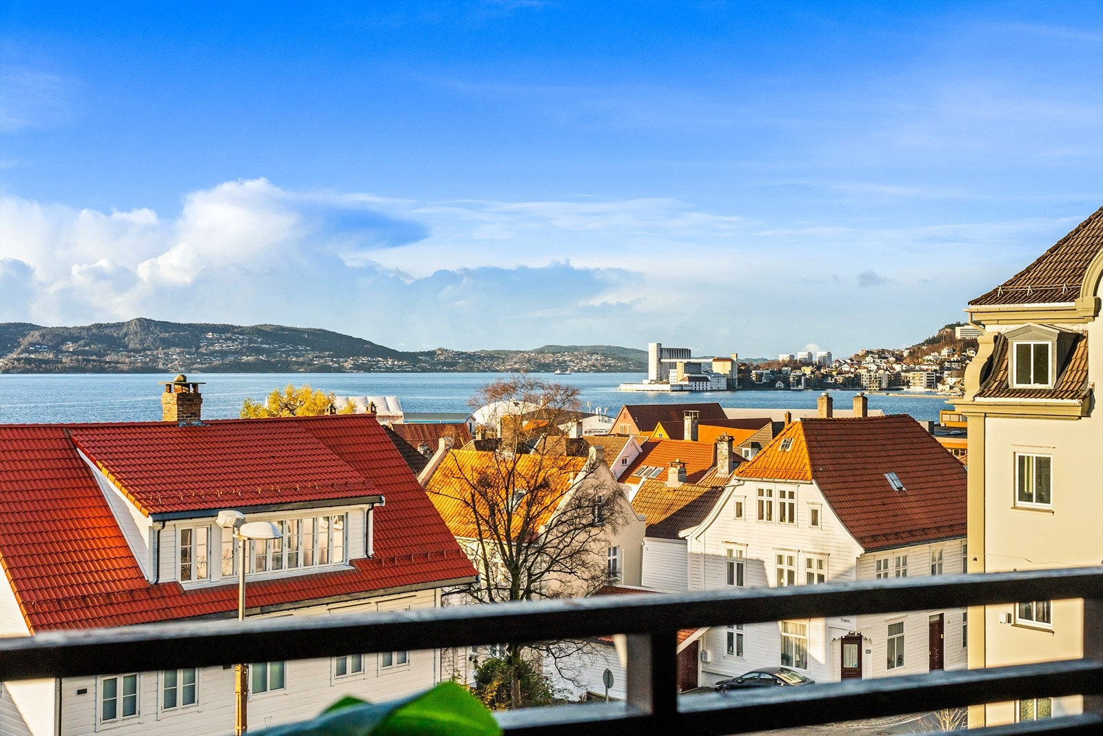 Husk påmelding til visning, vel møtt! Galleribilde