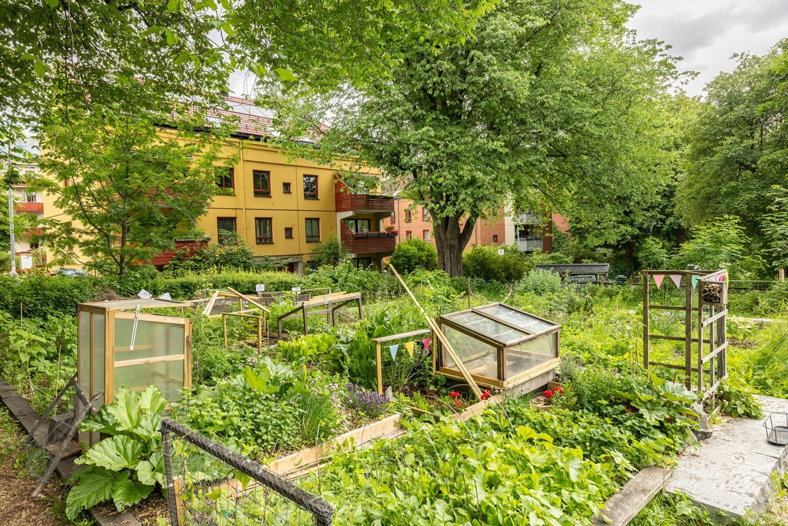 Bjølsenjordet parsellhage er nærmeste nabo til borettslaget. Galleribilde