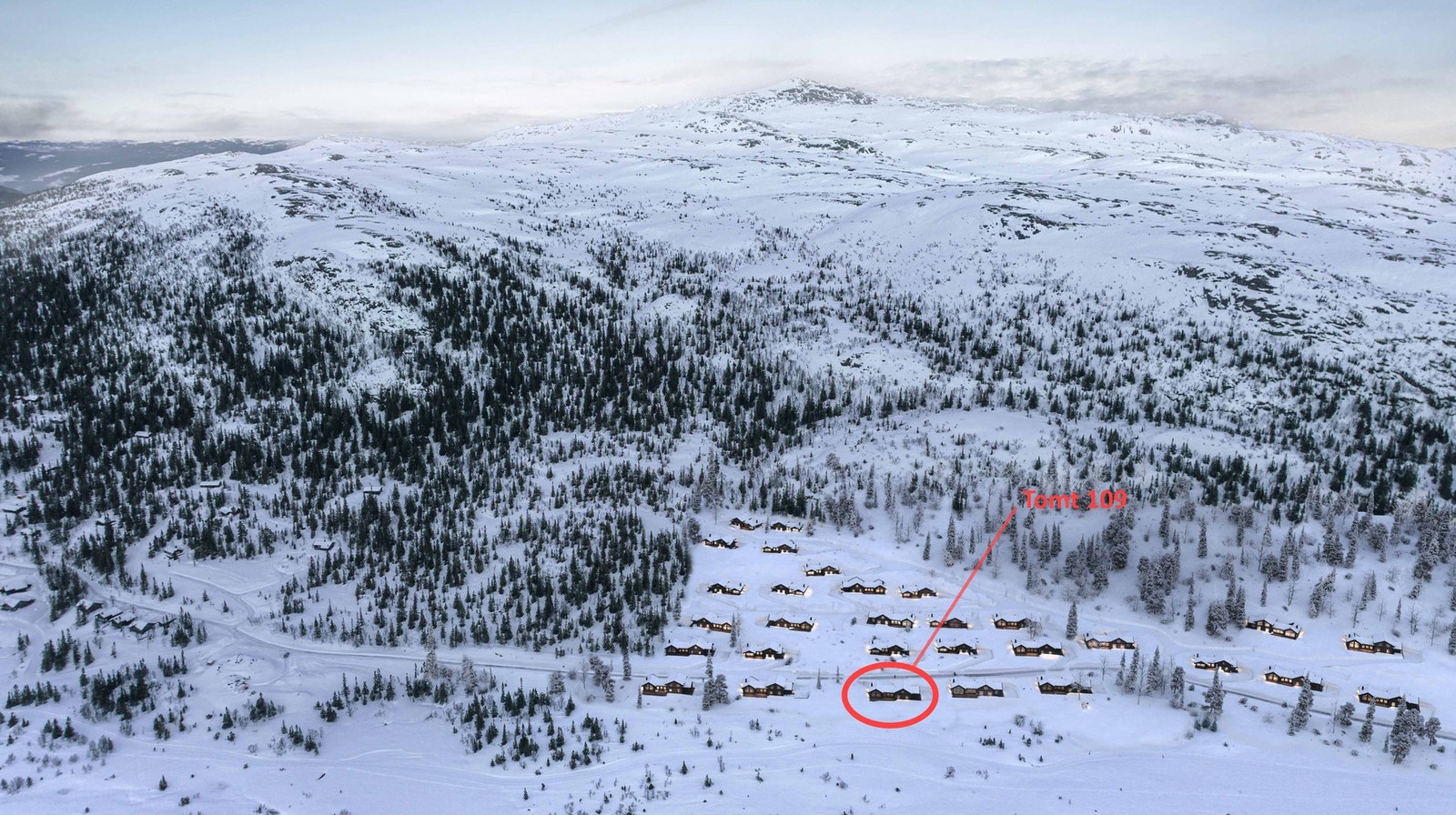 Illustrasjon tomteområde med tomt 109 markert Galleribilde