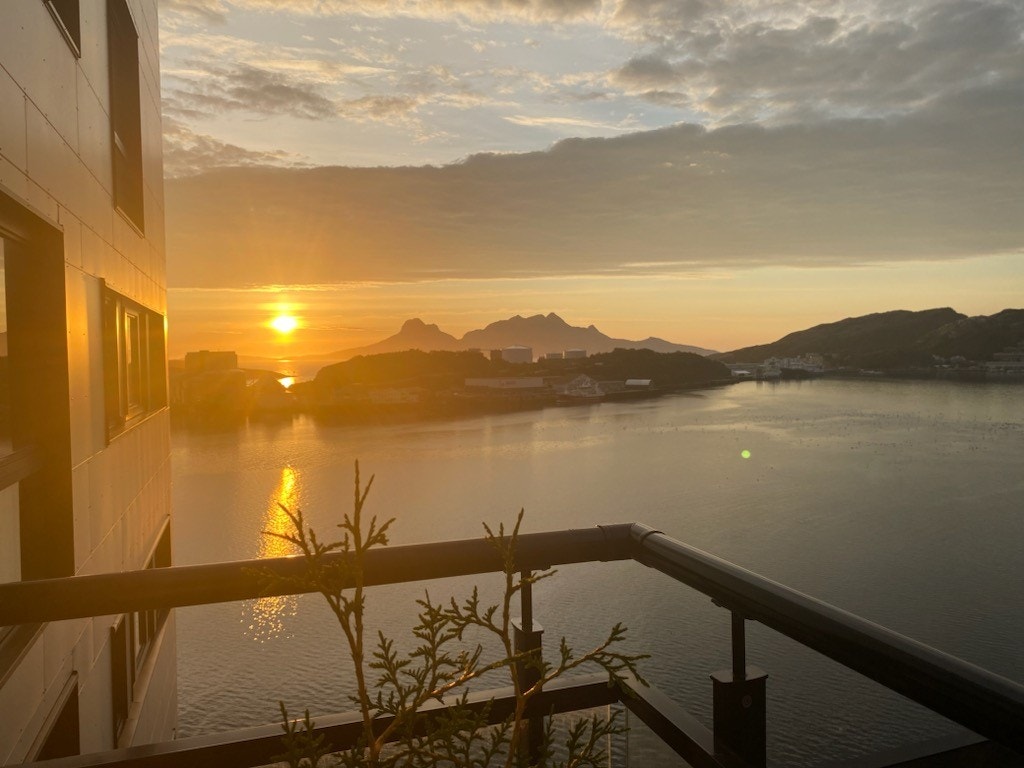 Selgers eget foto Galleribilde