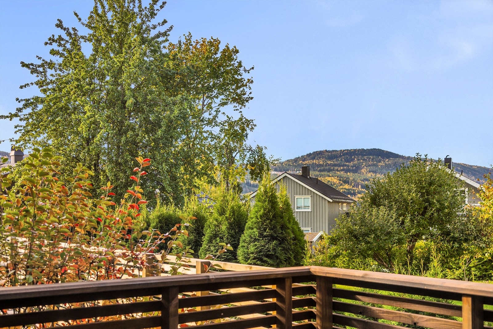 Utsiktsbilde Galleribilde