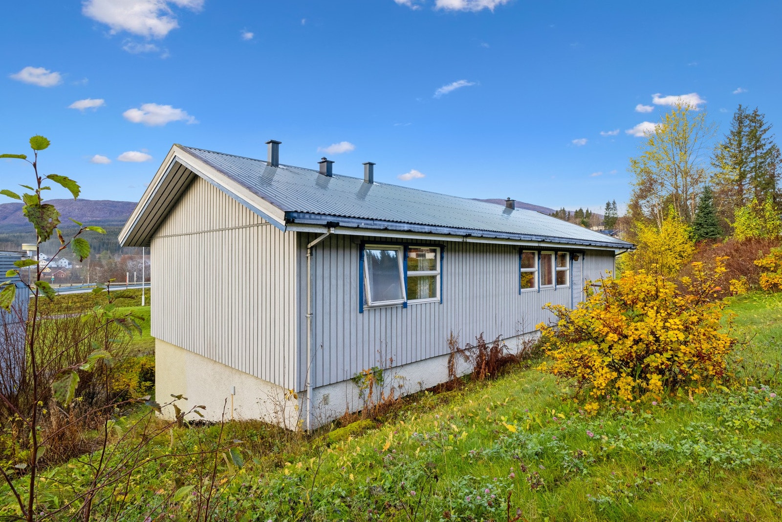 Flatt og skrånende tomteareal som er opparbeidet med plen og beplantet med busker og trær. Galleribilde