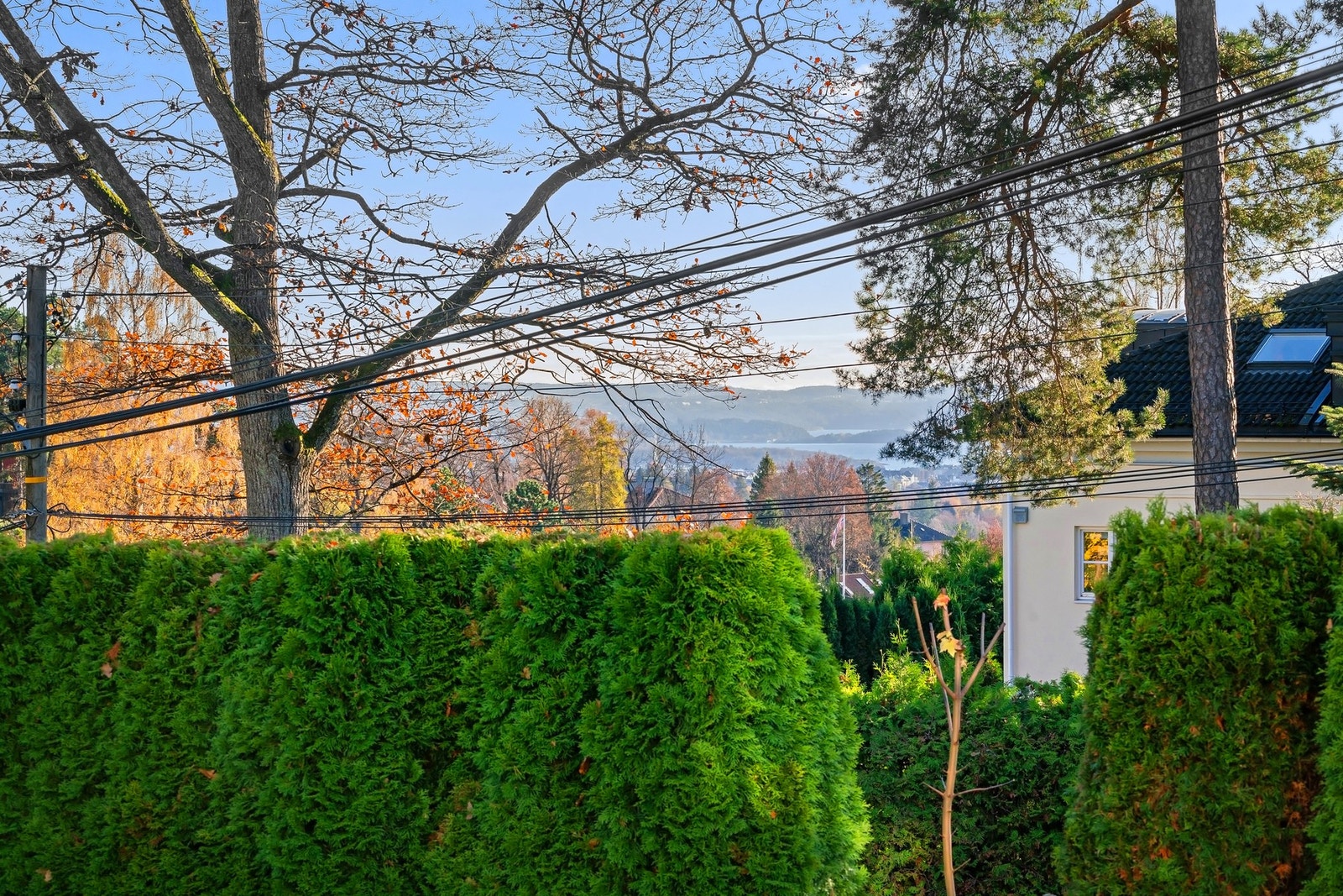 Fine siktlinjer fra eiendommen. Galleribilde