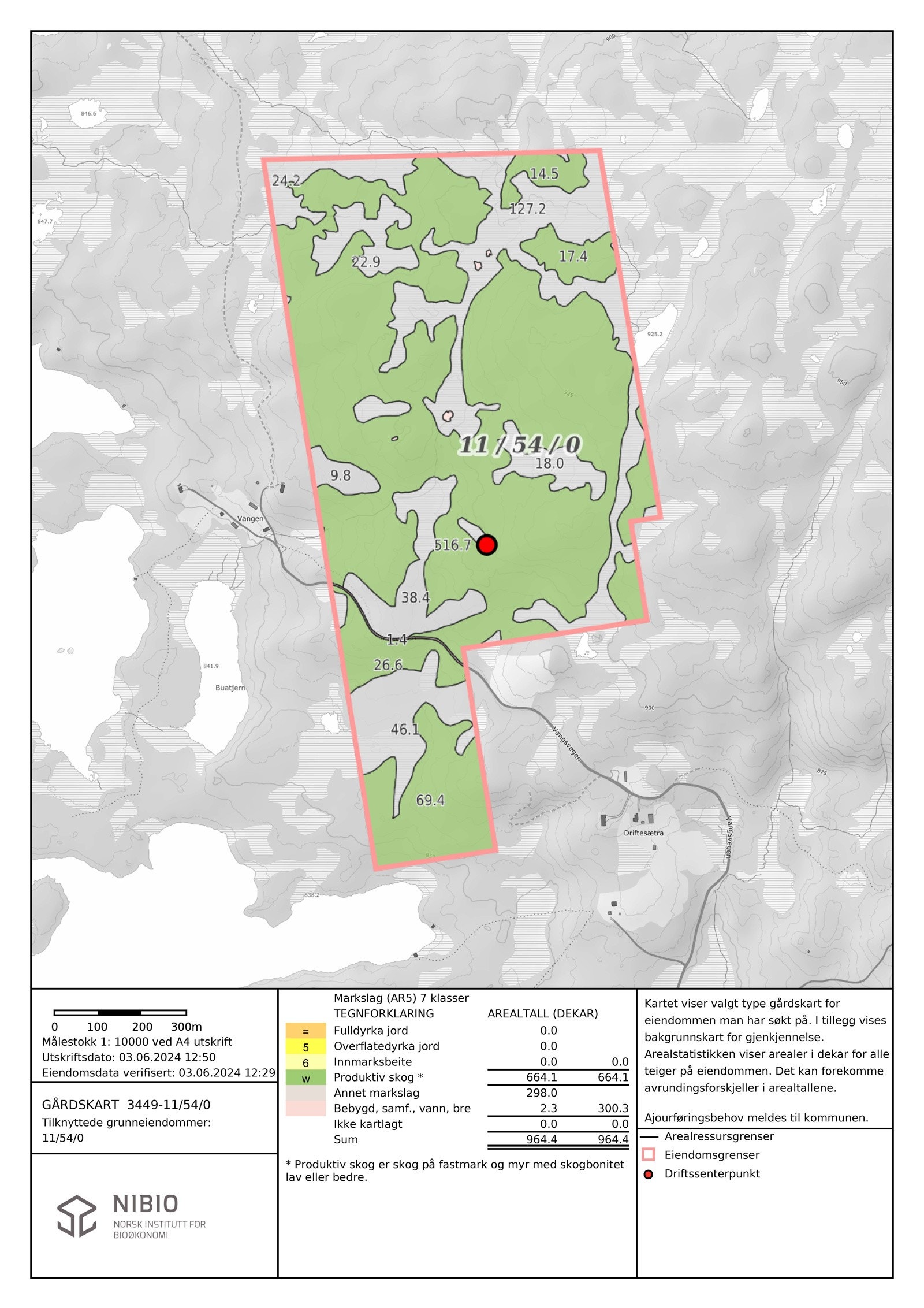 kart 1 skog Galleribilde