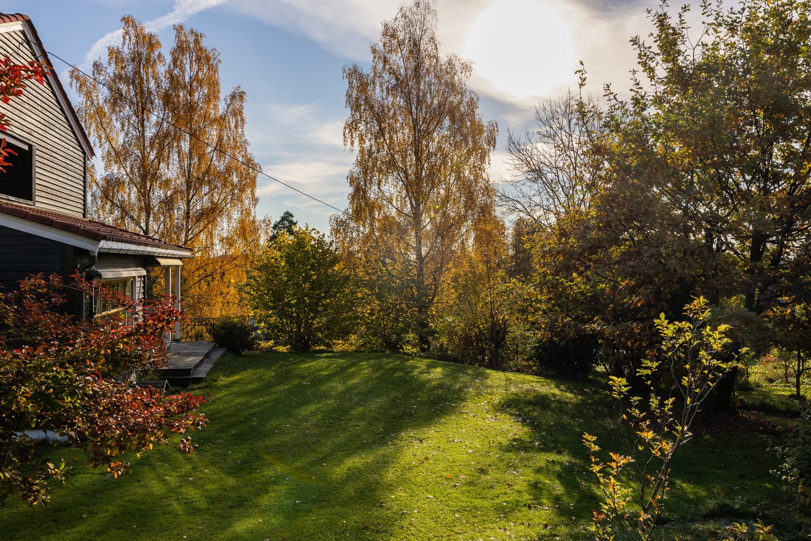 Flott hage Galleribilde