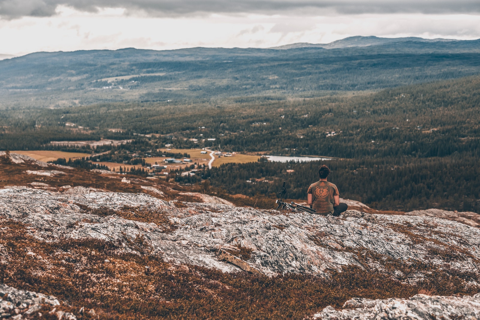 Turbilde Galleribilde