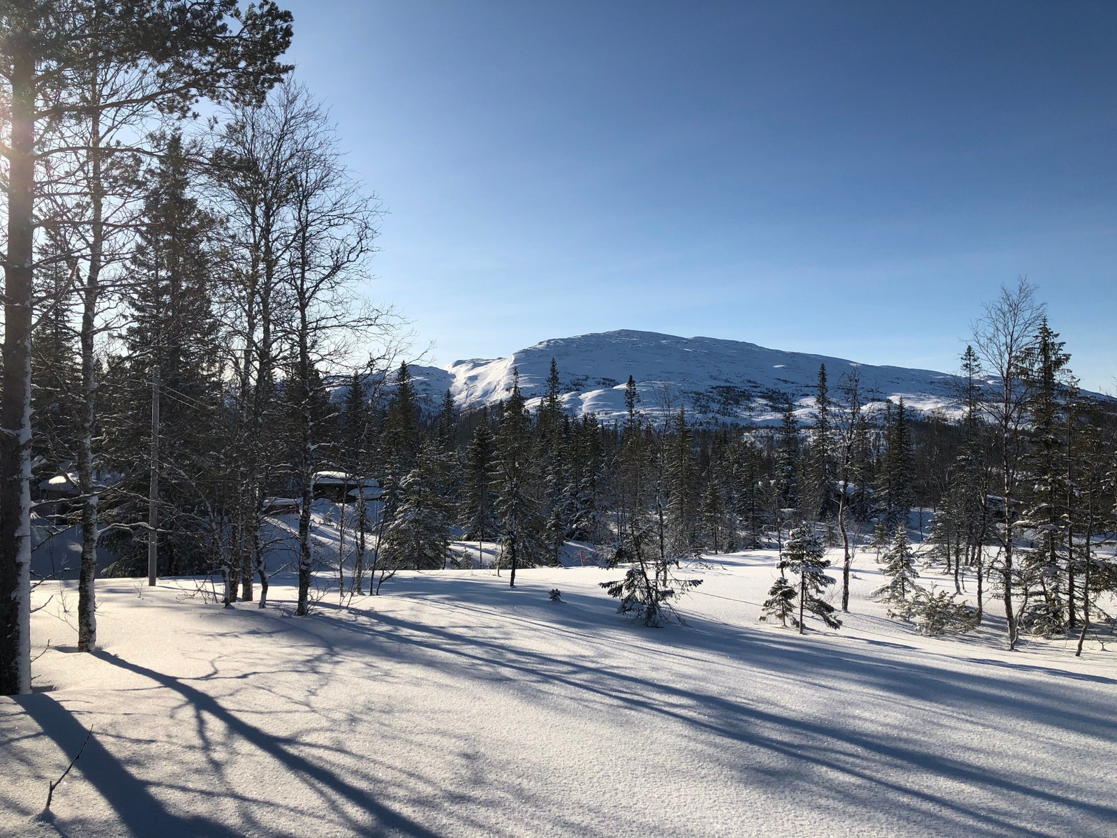 Utsikt fra tom H38 Galleribilde
