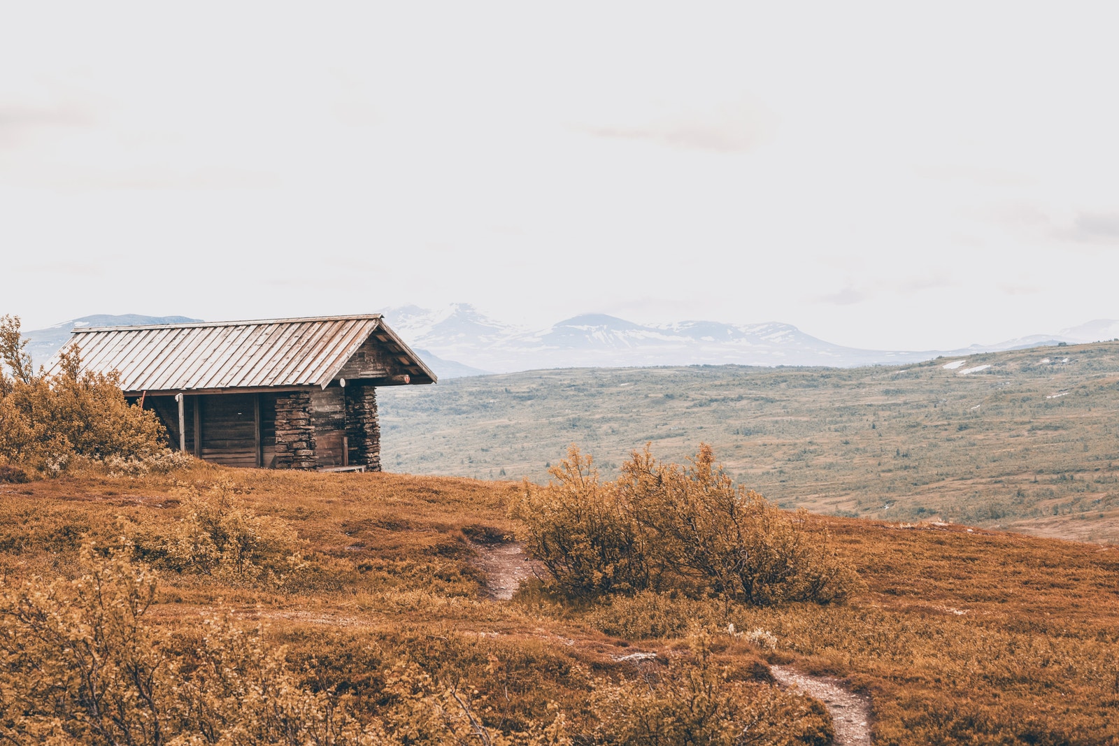 Turbilde Galleribilde