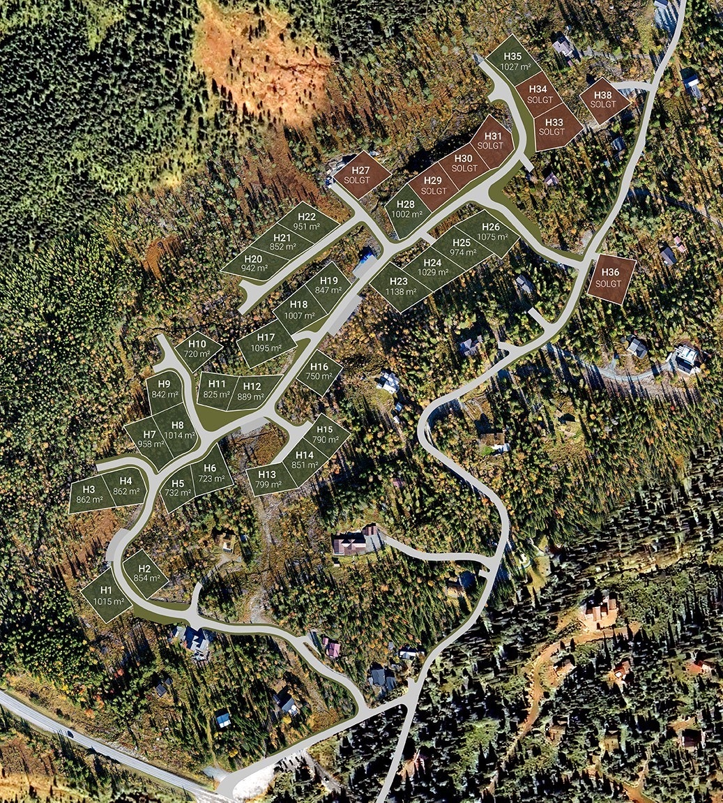 Tomtekart Galleribilde