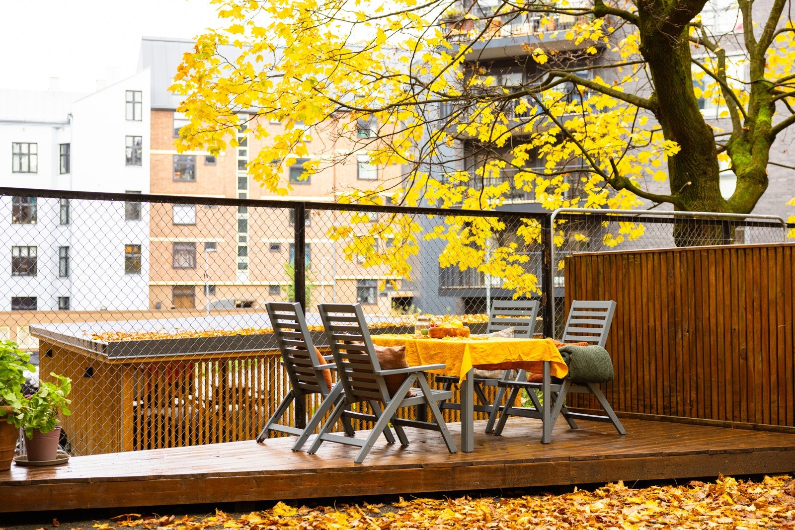 Hyggelig fellesområde med flere sittegrupper. Galleribilde