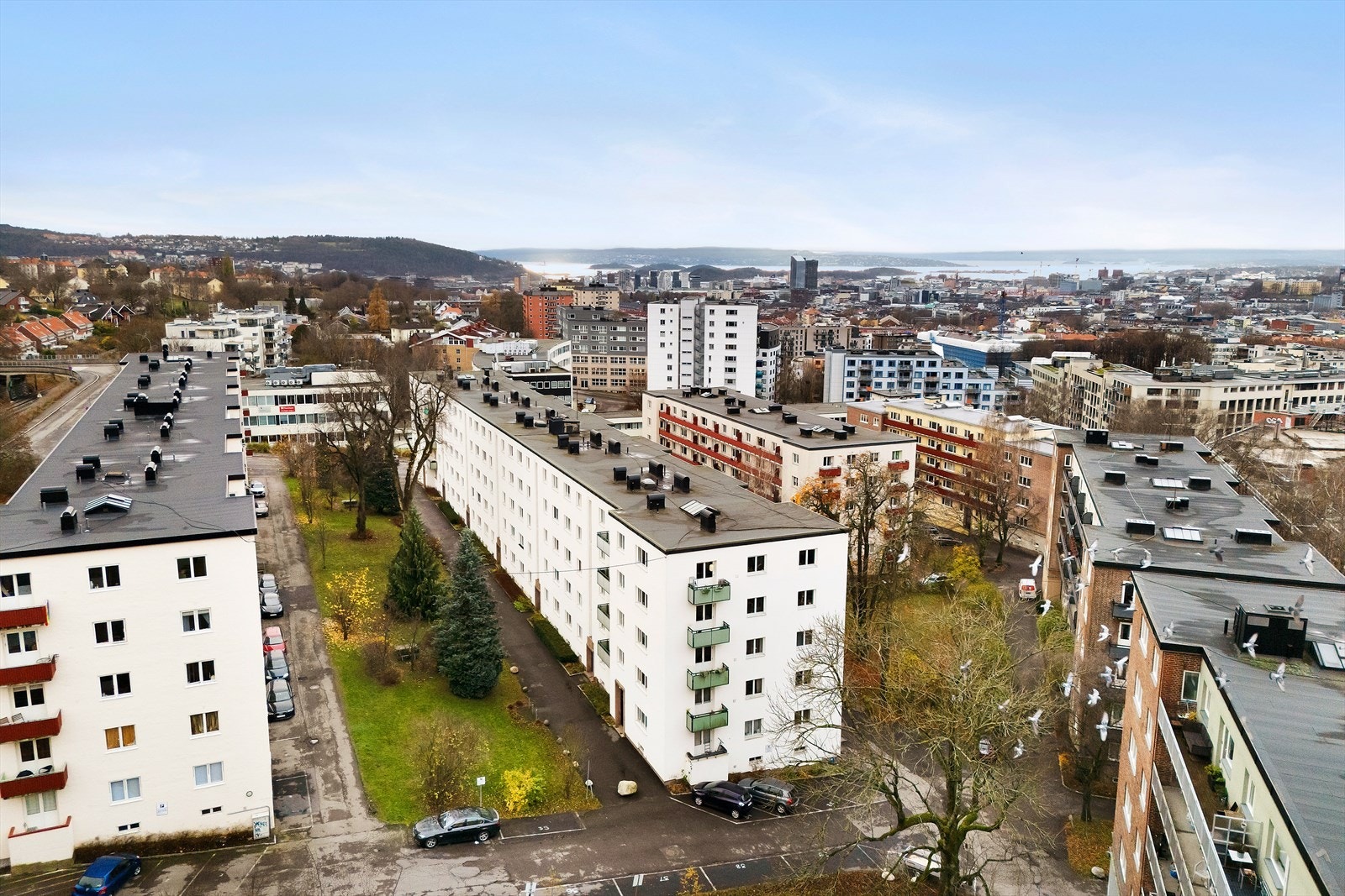 Her bor du sentralt til på Sinsen med gangavstand til butikker, parker, kollektivtransport Galleribilde