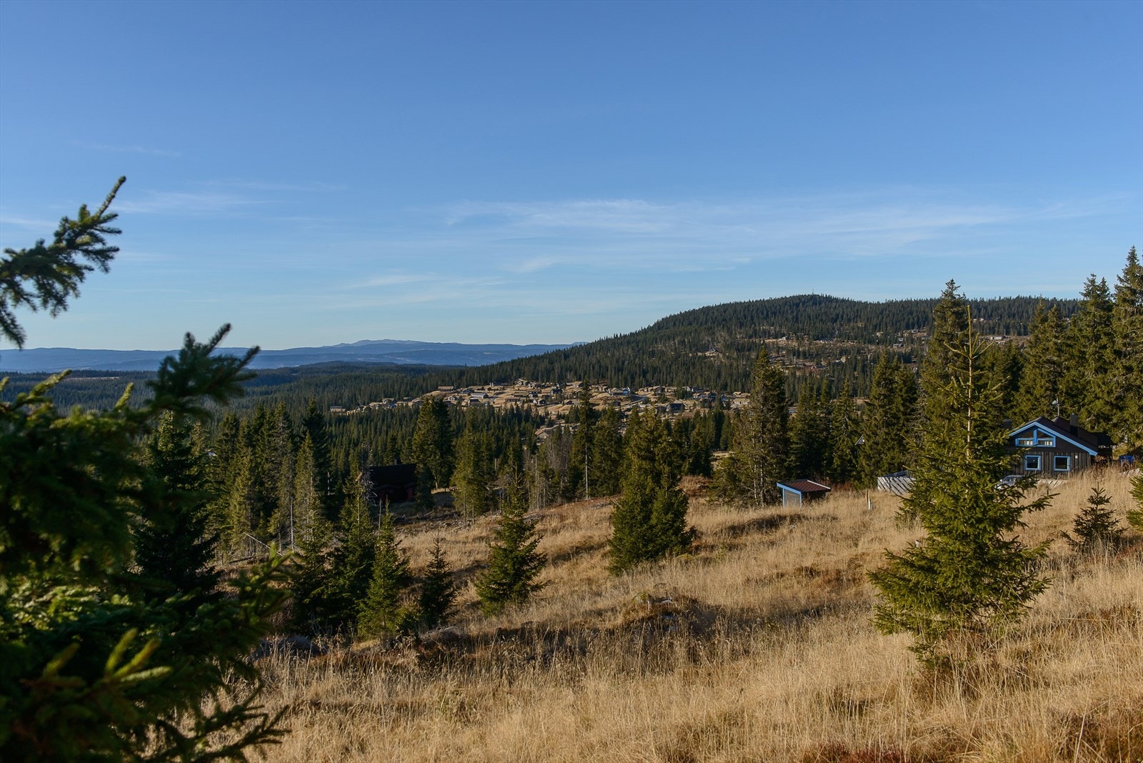 Fin utsikt fra tomta. Galleribilde