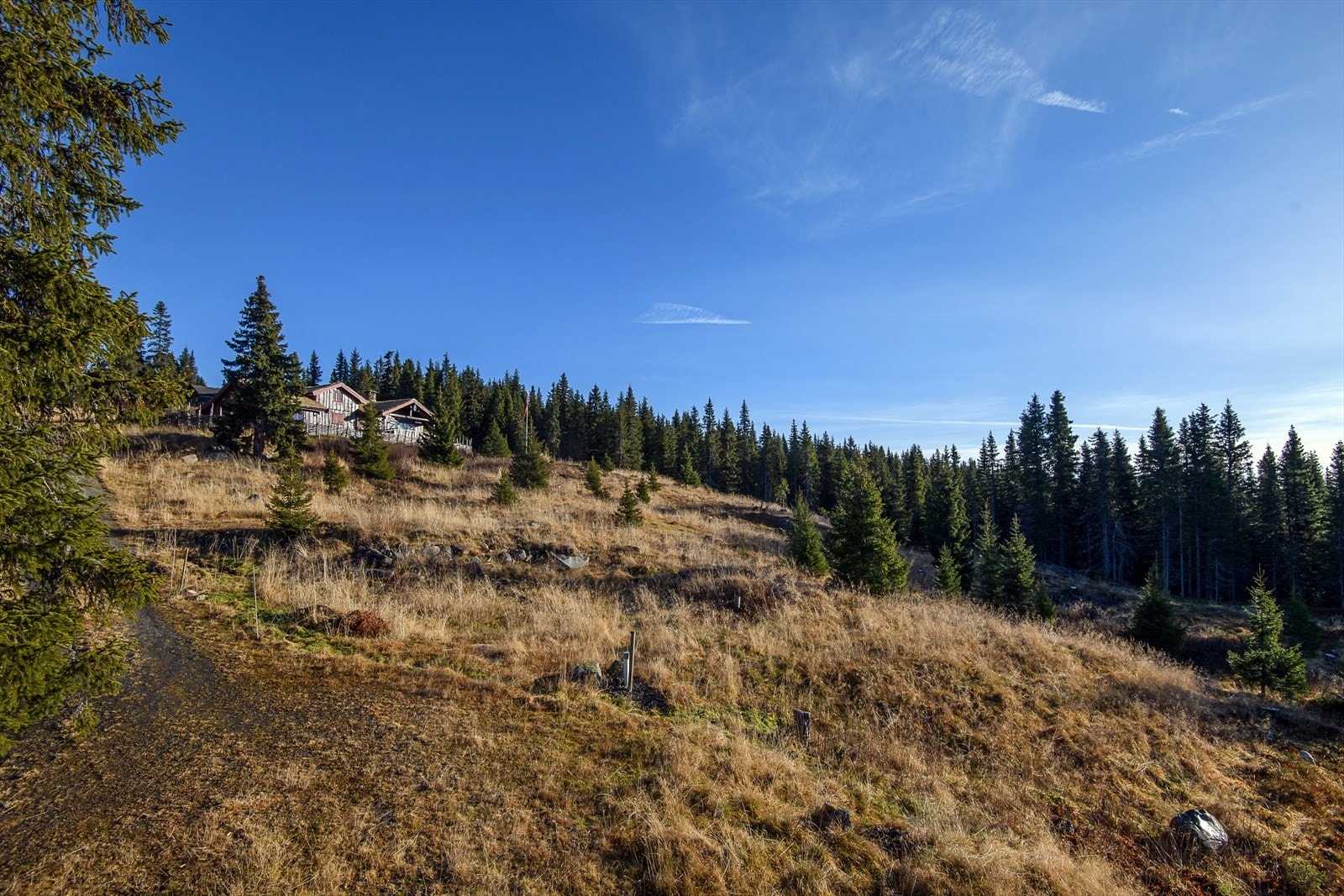Bildet viser tomta, sett nedenfra. Galleribilde