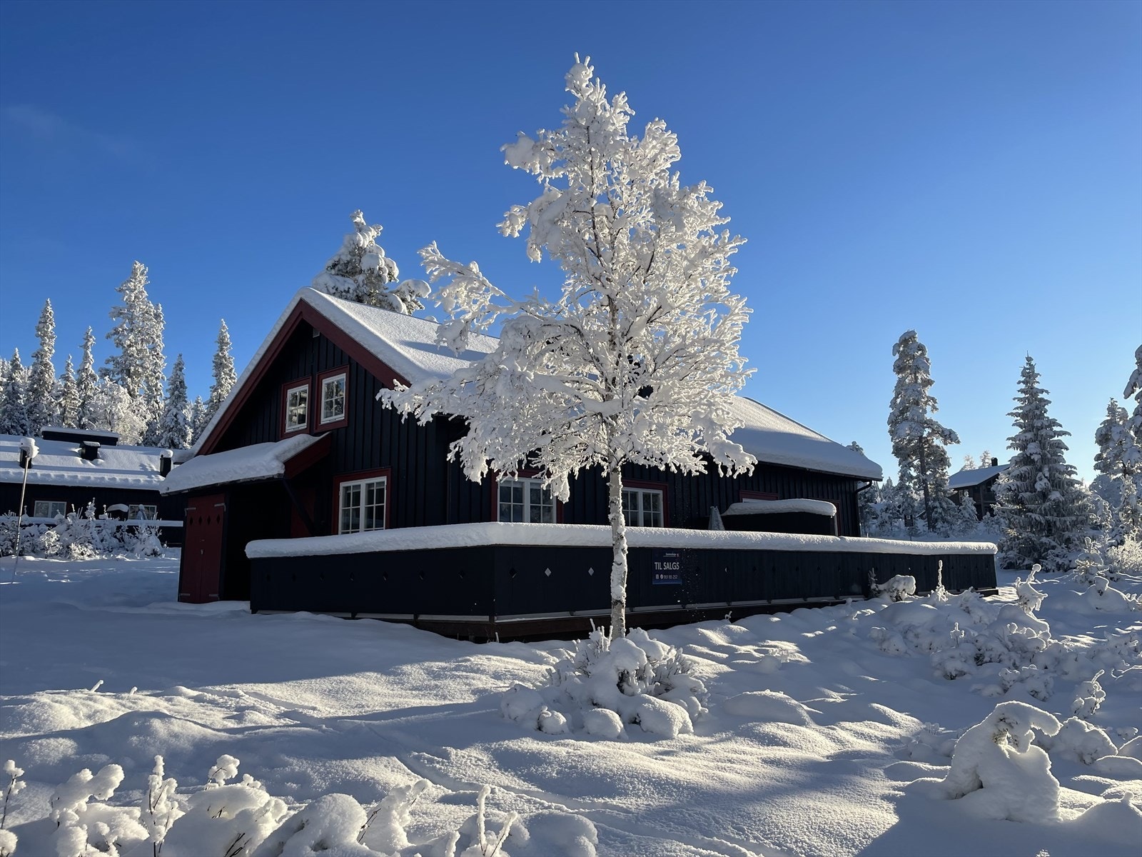 Velkommen til Blåbærvegen 16! Galleribilde