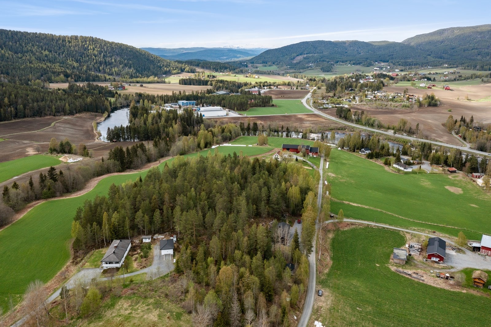 Nærmiljøet. Galleribilde