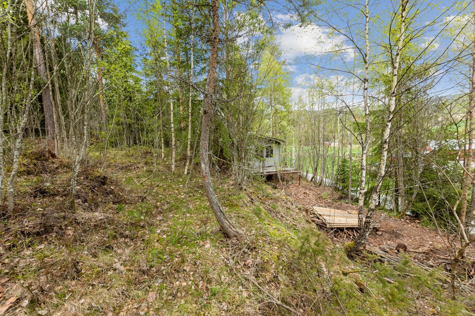Tomten ligger i skrånende terreng. Galleribilde