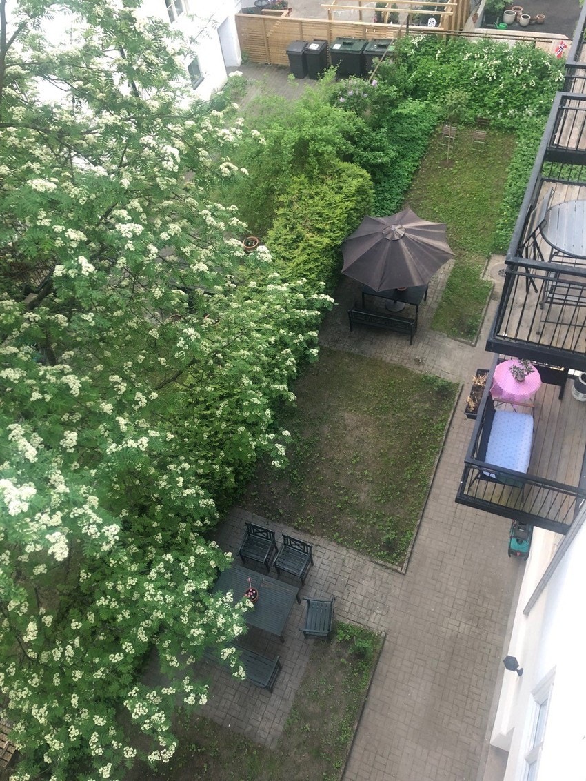 Plenen er sådd på nytt og fremstår finere og grønnere enn på bildet. Bildene er tatt fra balkongen til selger. Galleribilde