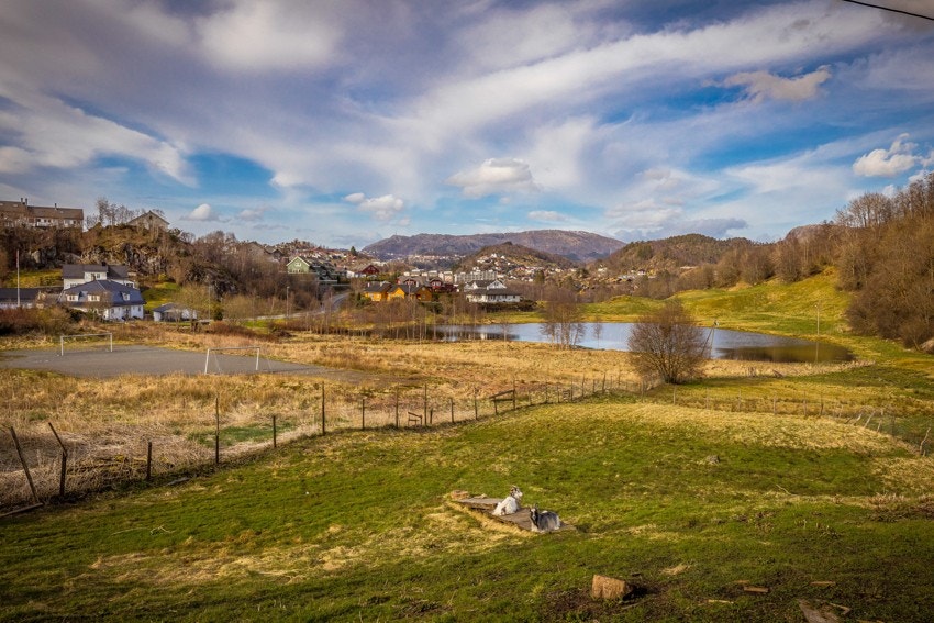 Naturskjønne omgivelser, men likevel svært sentralt. Galleribilde