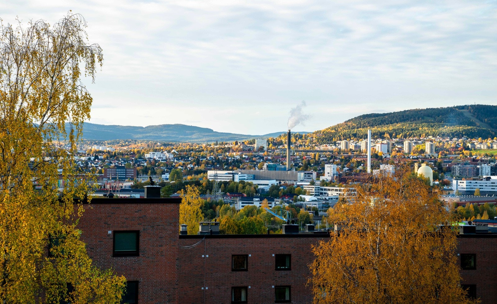 Utsiktsbilde fra selger Galleribilde