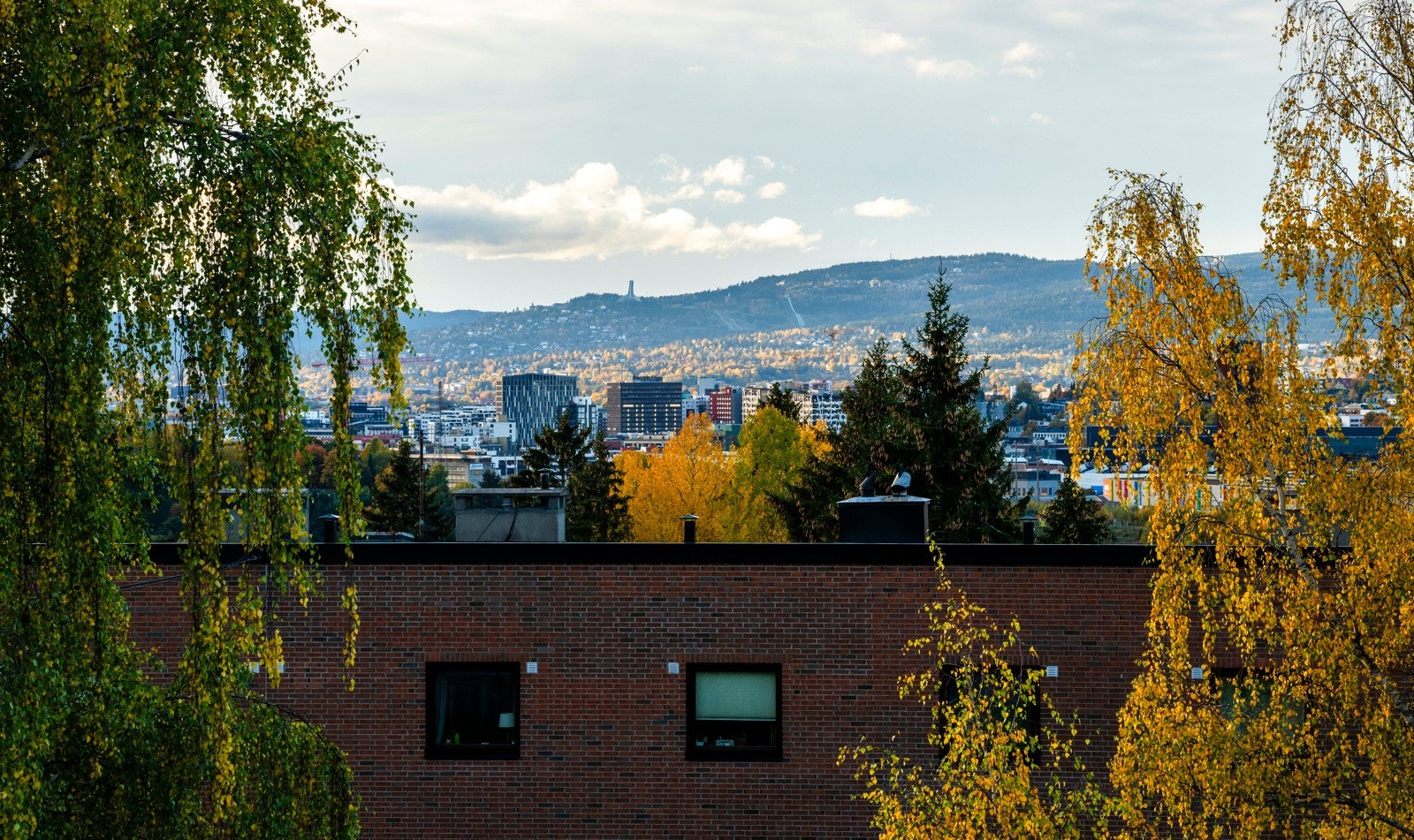 Utsiktsbilde fra selger Galleribilde