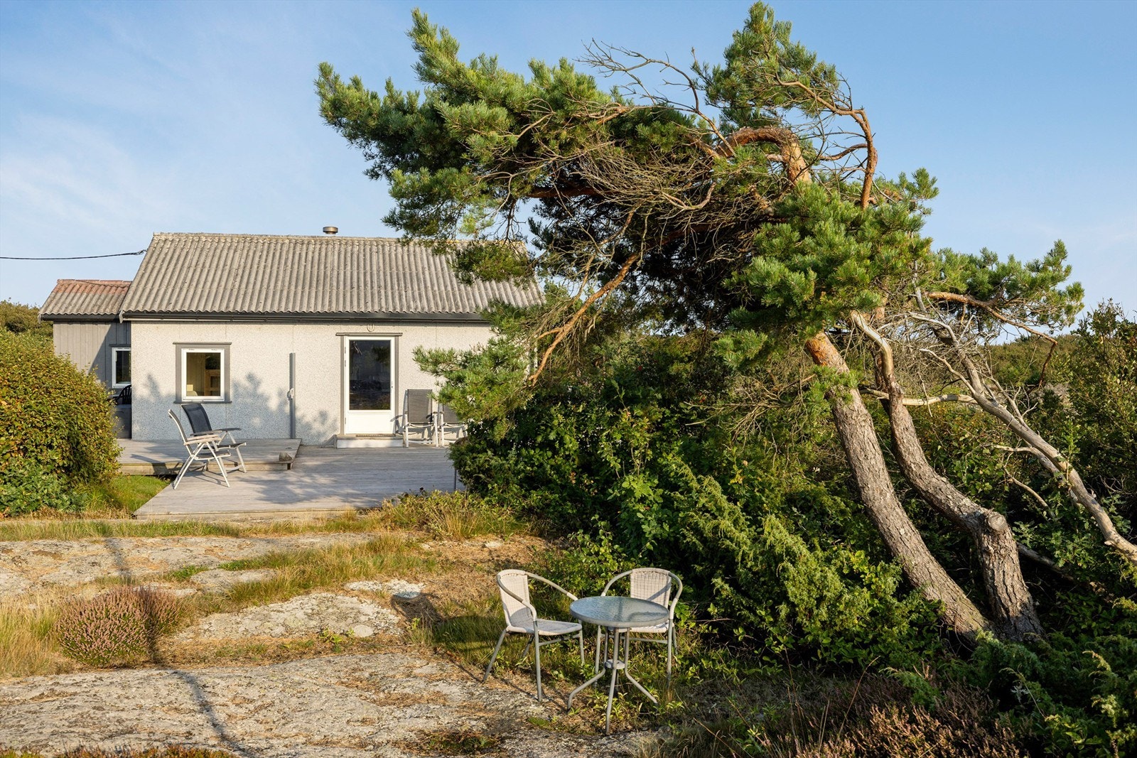 Omradebilde Galleribilde