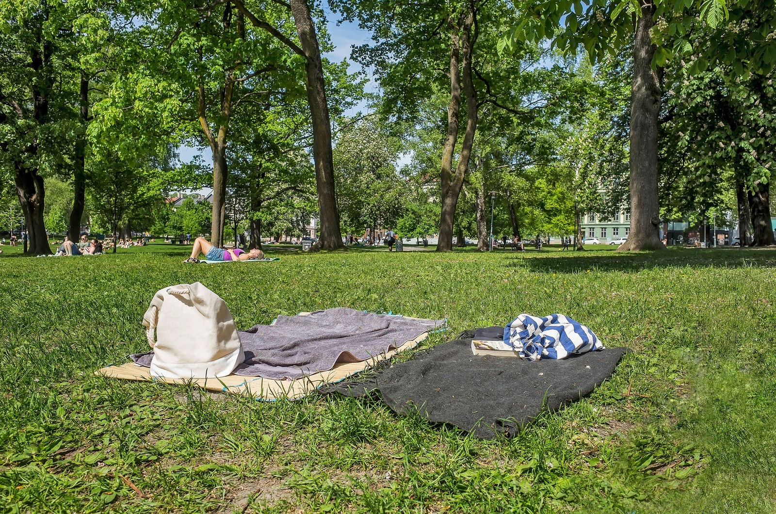 Her finnes flere grønne parker som Sofienbergsparken, Olaf Ryes plass og Birkelunden Galleribilde