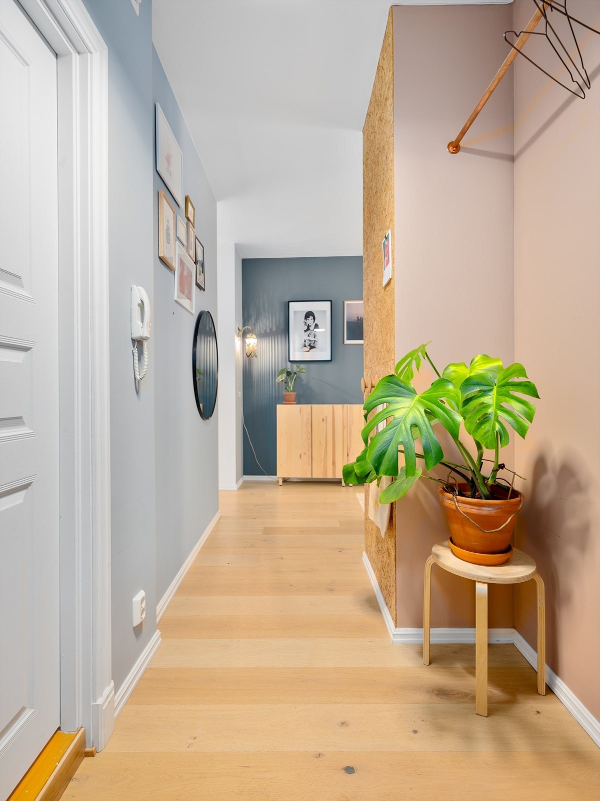 Velkommen til visning! Galleribilde