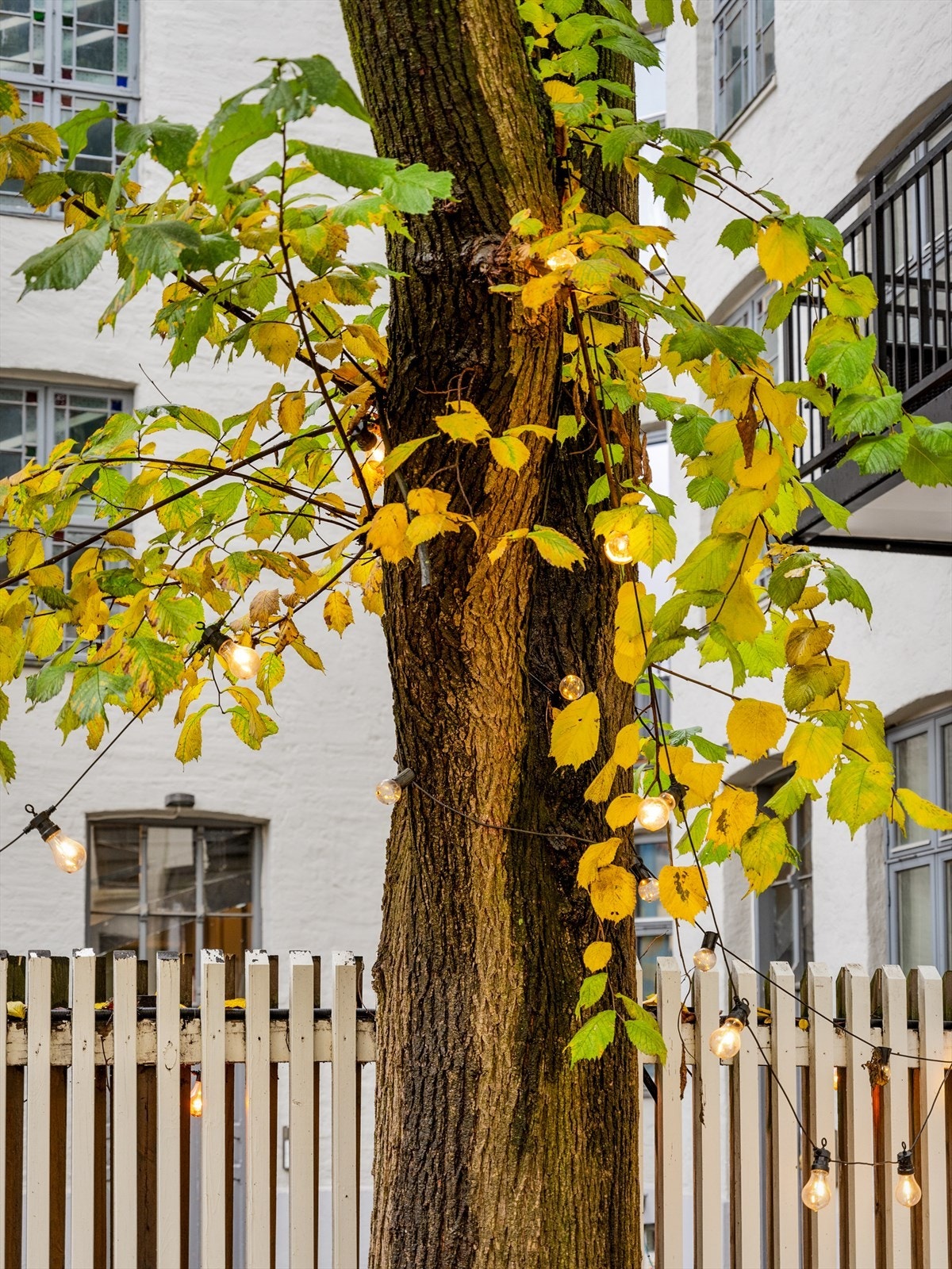 Stemningsfull belysning skaper ekstra hygge i bakgården når mørket senker seg. Galleribilde