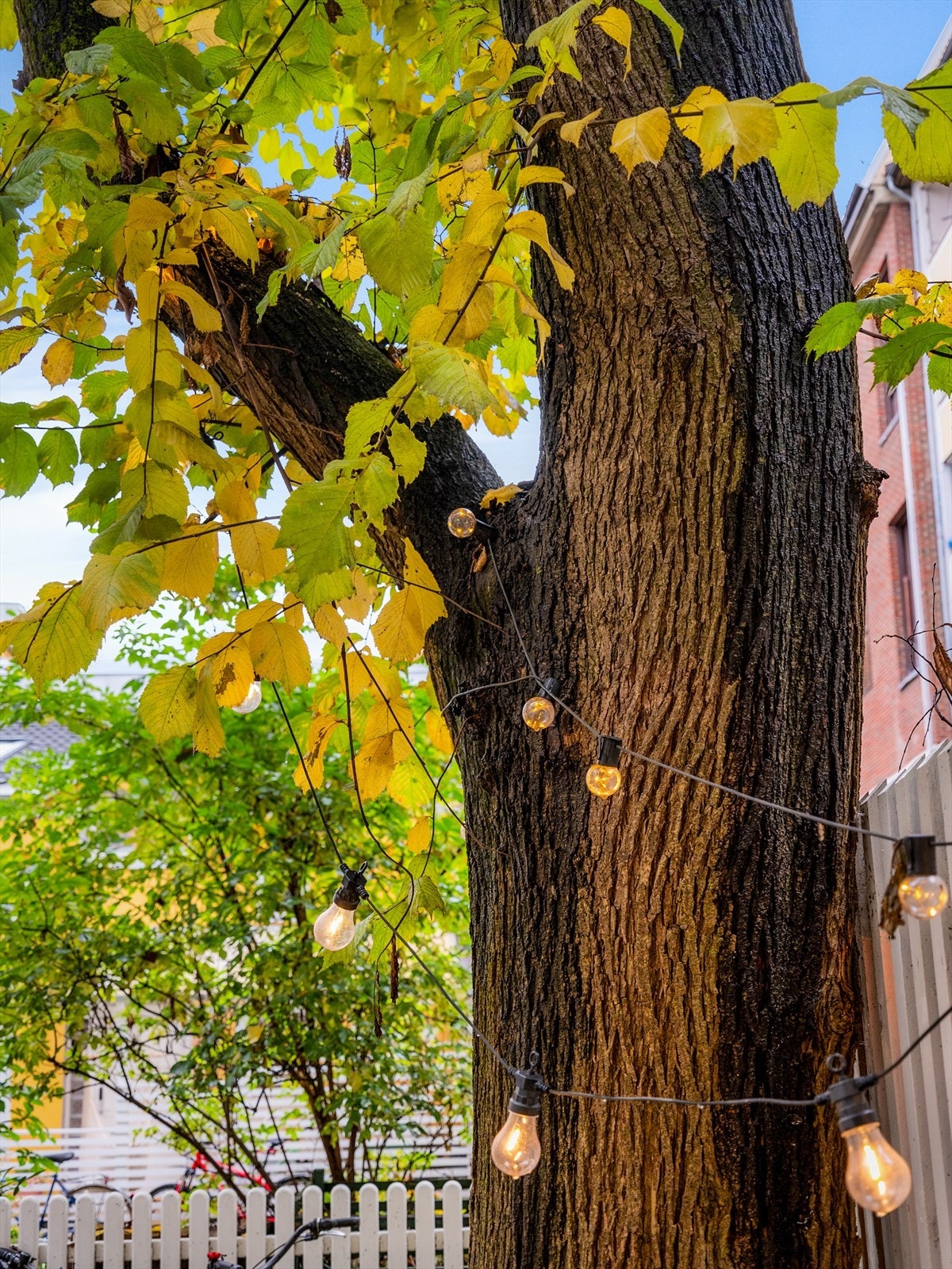 Hvordan er styret? Selger: "Styret er meget bra. Tar alt på alvor. Ordner opp. Har selv sittet i styret et år og det opplevdes bare fint. God kommunikasjon, hyggelig, ryddig med god flyt og seriøse mennesker." Galleribilde