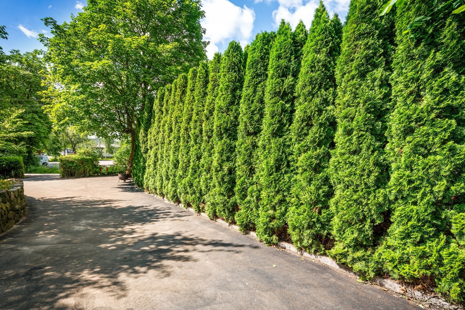 Gårdsplassen Galleribilde