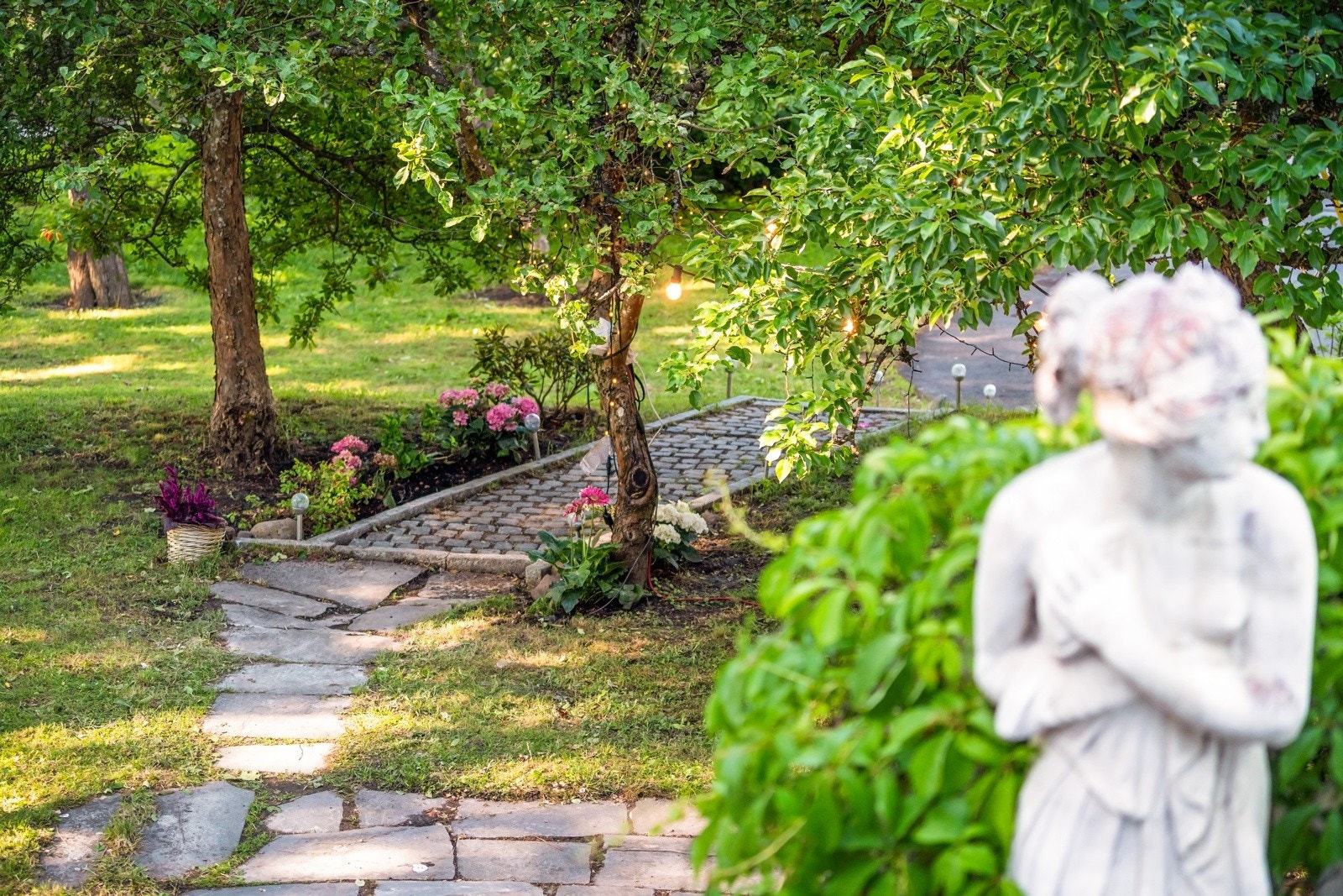 Store plenarealer, hellelagte områder Galleribilde