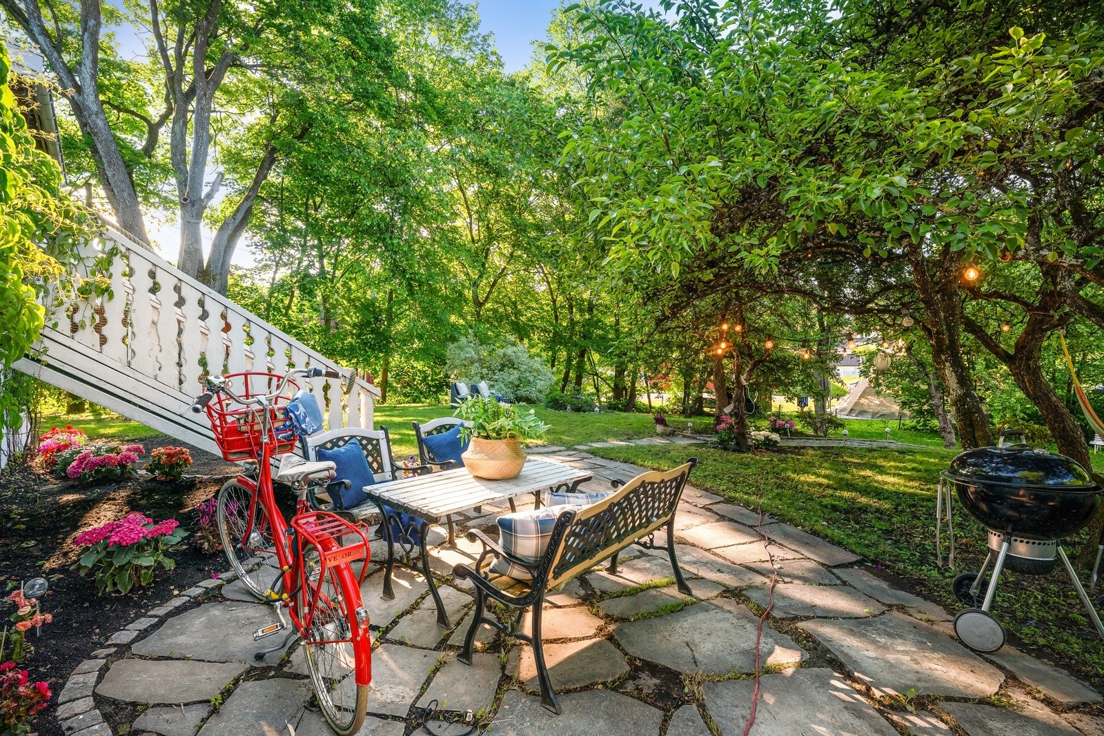 Høye, skjermende trær Galleribilde