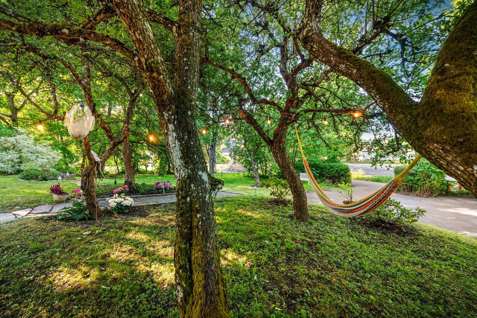 Frodige og lune soner Galleribilde