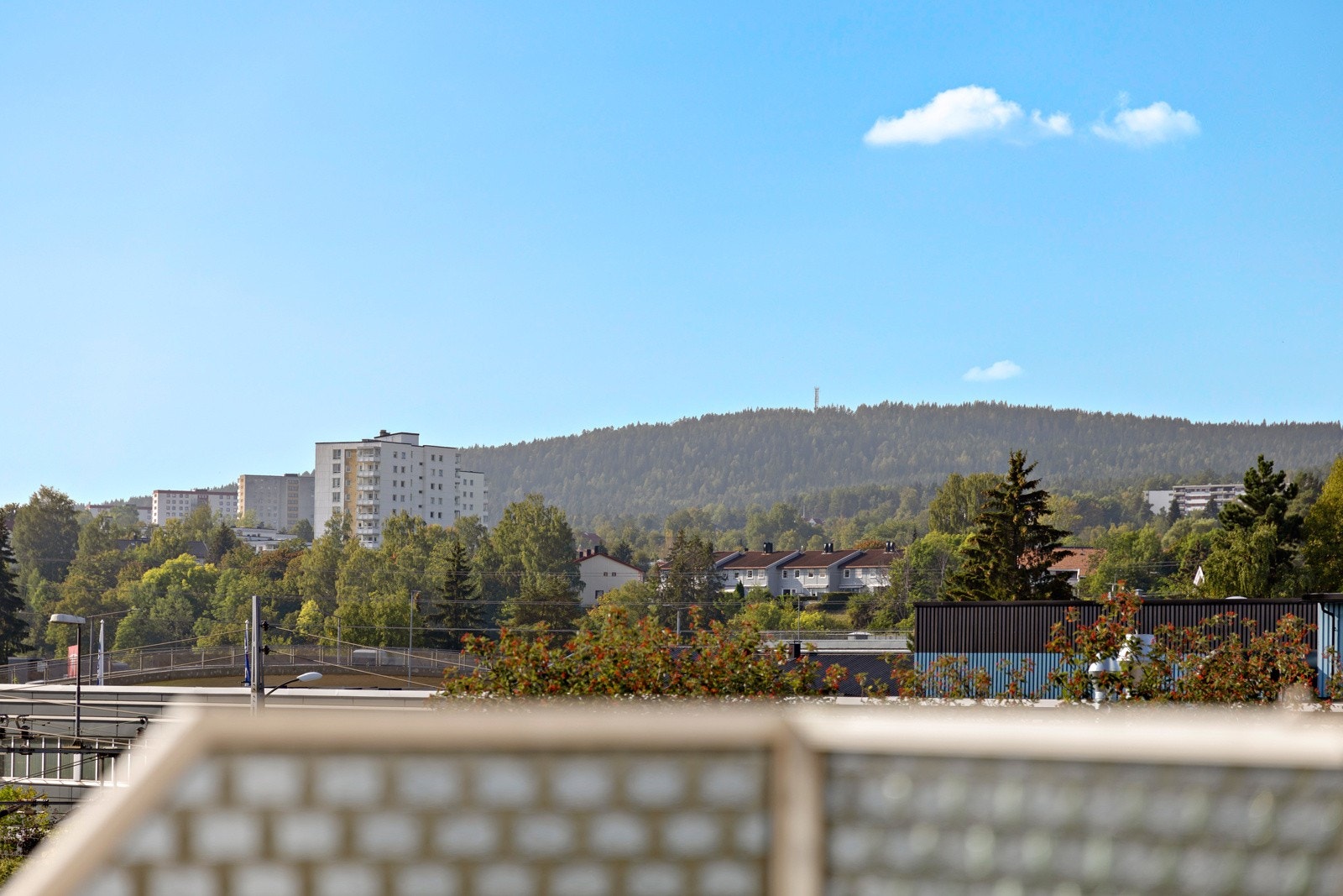 Nyt den beroligende utsikten mot det frodige grønne nærområdet Galleribilde