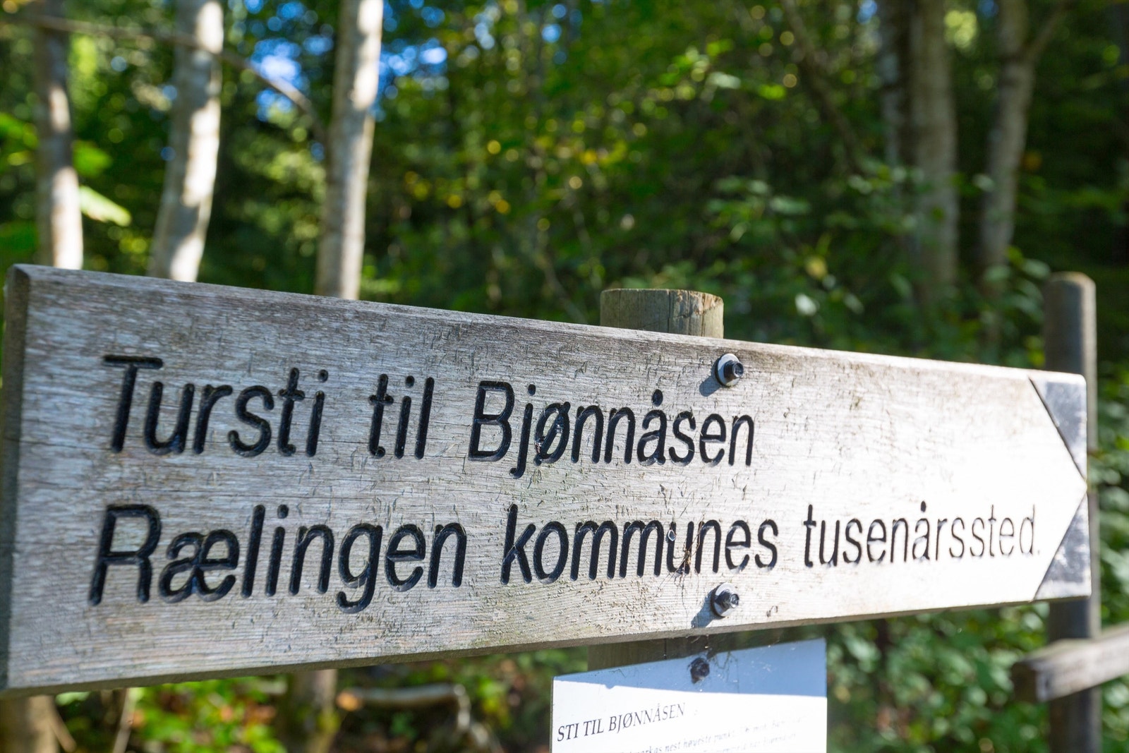 Kurland-Sanbekken_12.jpg Galleribilde