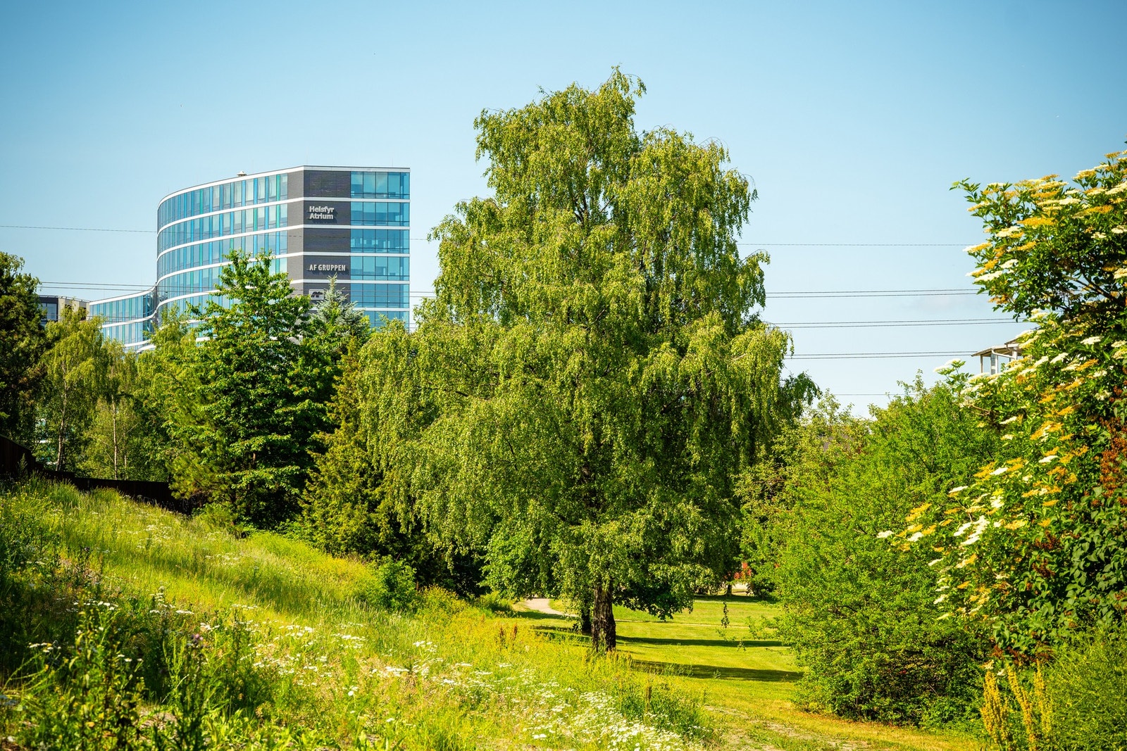 Nærområdet byr på flere flotte grøntområder. Galleribilde