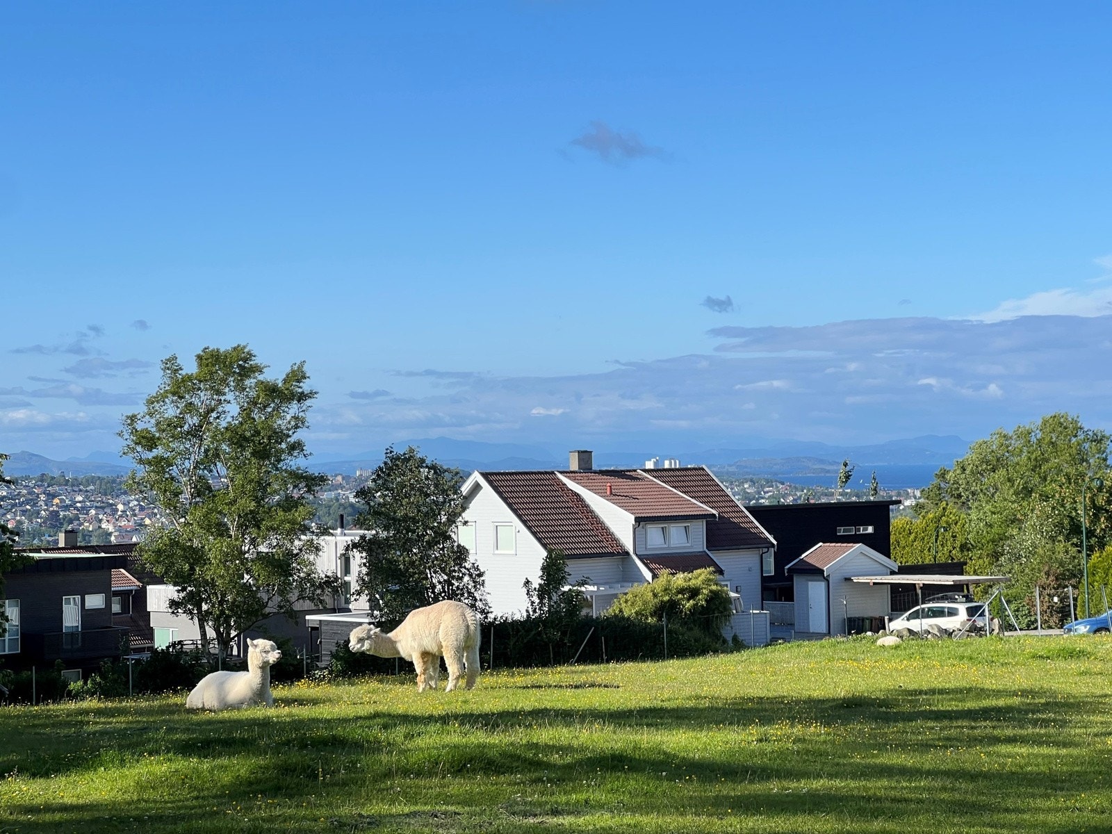 Fritidsgården tilbyr familievennlige aktiviteter året rundt og ligger 10 minutters spasertur fra boligen. Galleribilde