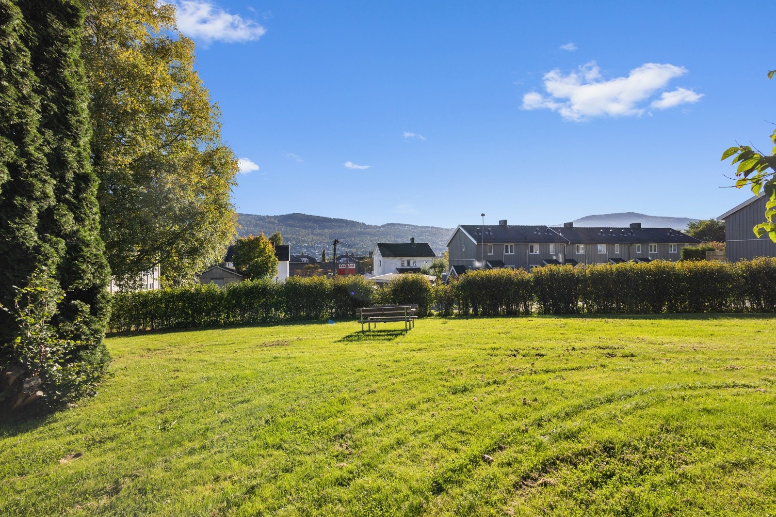 Hagen omkranses av hekk mot gaten Galleribilde