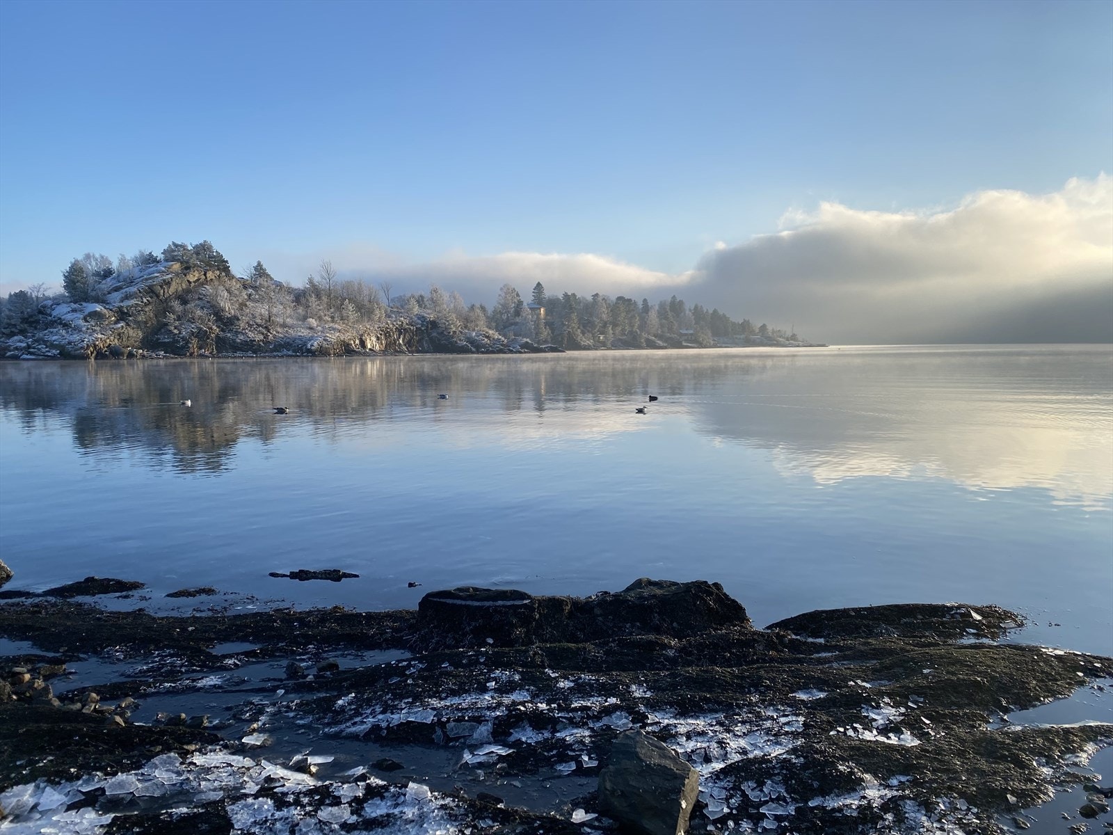 Oslofjorden. Bilde tatt av selger. Galleribilde