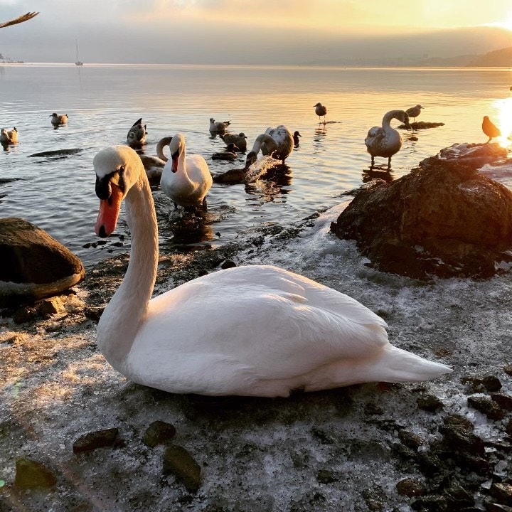 Oslofjorden. Bilde tatt av selger. Galleribilde