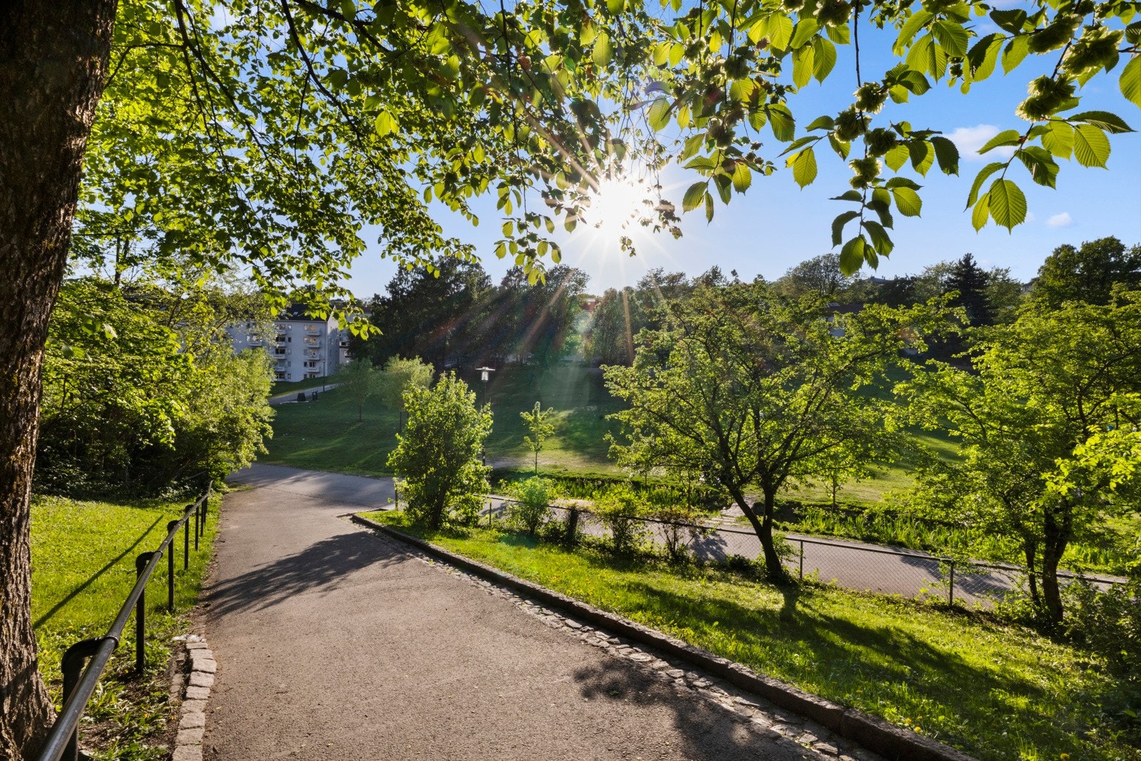 Iladalen park rett i nærheten Galleribilde